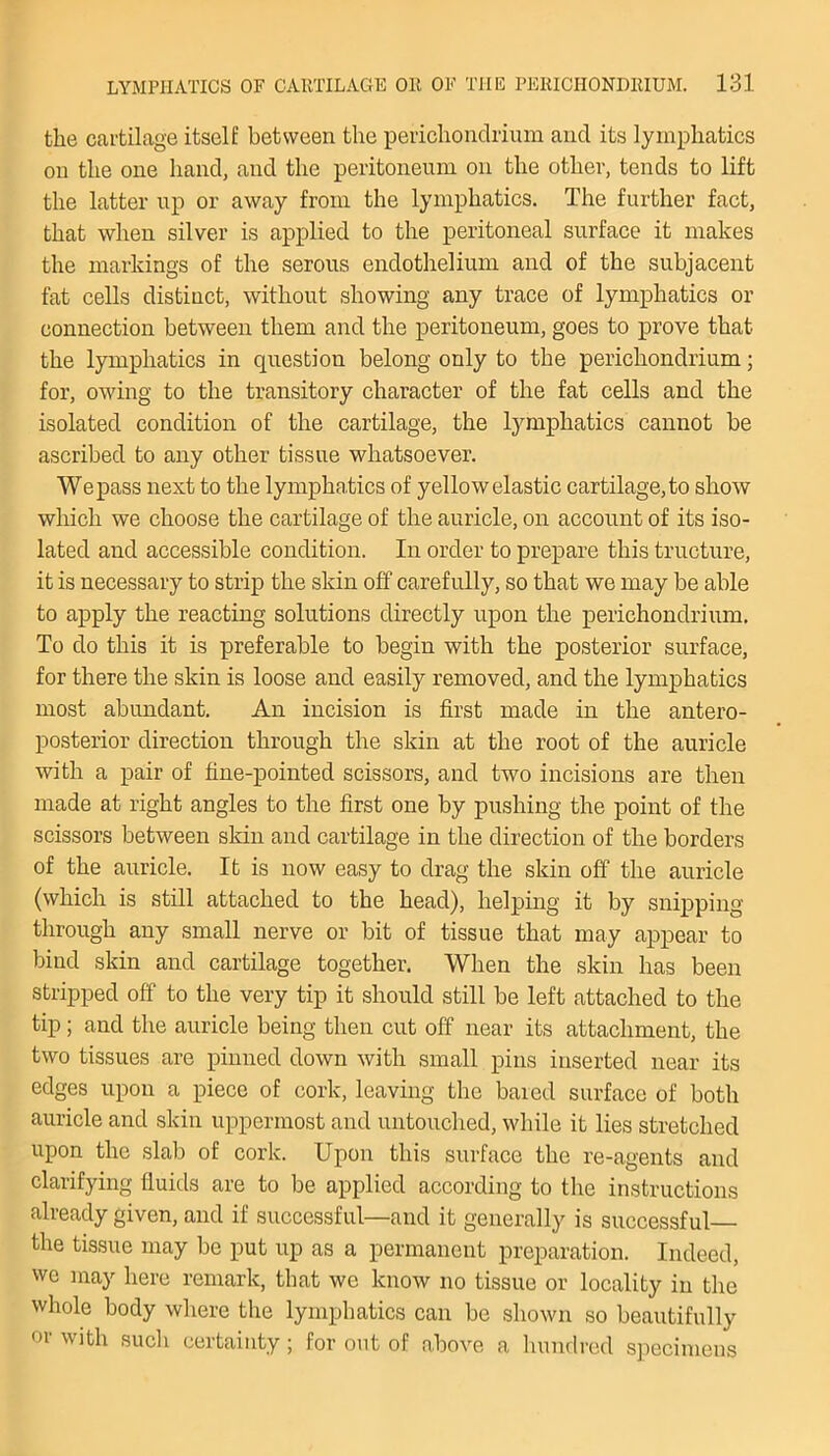 the cartilage itself between the perichondrium and its lymphatics on the one hand, and the peritoneum on the other, tends to lift the latter up or away from the lymphatics. The further fact, that when silver is applied to the peritoneal surface it makes the markings of the serous endothelium and of the subjacent fat cells distinct, without showing any trace of lymphatics or connection between them and the peritoneum, goes to prove that the lymphatics in question belong only to the perichondrium; for, owing to the transitory character of the fat cells and the isolated condition of the cartilage, the lymphatics cannot be ascribed to any other tissue whatsoever. We pass next to the lymphatics of yellow elastic cartilage, to show which we choose the cartilage of the auricle, on account of its iso- lated and accessible condition. In order to prepare this tructure, it is necessary to strip the skin off carefully, so that we may be able to apply the reacting solutions directly upon the perichondrium. To do this it is preferable to begin with the posterior surface, for there the skin is loose and easily removed, and the lymphatics most abundant. An incision is first made in the antero- posterior direction through the skin at the root of the auricle with a pair of fine-pointed scissors, and two incisions are then made at right angles to the first one by pushing the point of the scissors between skin and cartilage in the direction of the borders of the auricle. It is now easy to drag the skin off the auricle (which is still attached to the head), helping it by snipping through any small nerve or bit of tissue that may appear to bind skin and cartilage together. When the skin has been stripped off to the very tip it should still be left attached to the tip; and the auricle being then cut off near its attachment, the two tissues are pinned down with small pins inserted near its edges upon a piece of cork, leaving the bared surface of both auricle and skin uppermost and untouched, while it lies stretched upon the slab of cork. Upon this surface the re-agents and clarifying fluids are to be applied according to the instructions already given, and if successful—and it generally is successful— the tissue may be put up as a permanent preparation. Indeed, we may here remark, that we know no tissue or locality in the whole body where the lymphatics can be shown so beautifully or with such certainty; for out of above a hundred specimens