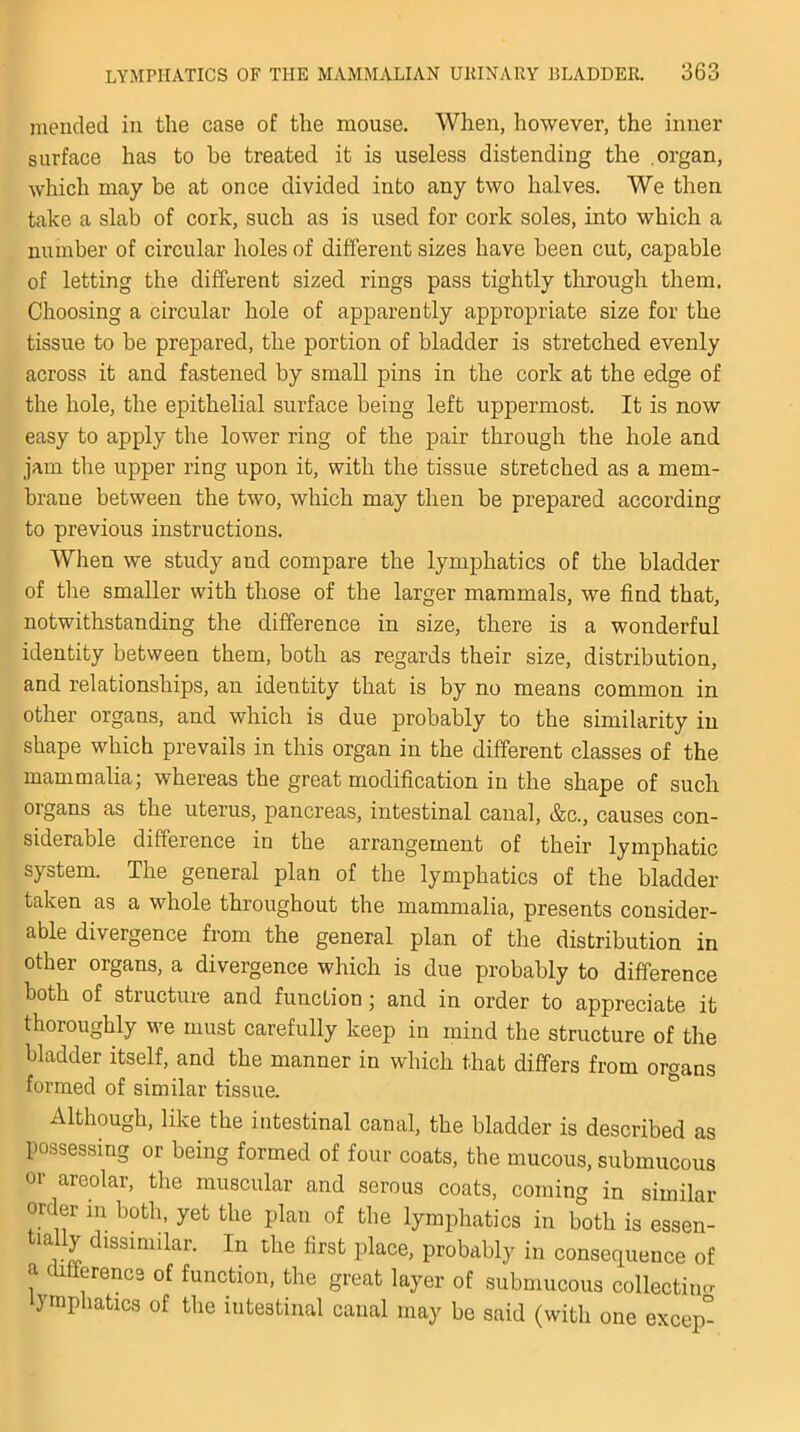 mended in the case of the mouse. When, however, the inner surface has to be treated it is useless distending the organ, which may be at once divided into any two halves. We then take a slab of cork, such as is used for cork soles, into which a number of circular holes of different sizes have been cut, capable of letting the different sized rings pass tightly through them. Choosing a circular hole of apparently appropriate size for the tissue to be prepared, the portion of bladder is stretched evenly across it and fastened by small pins in the cork at the edge of the hole, the epithelial surface being left uppermost. It is now easy to apply the lower ring of the pair through the hole and jam the upper ring upon it, with the tissue stretched as a mem- brane between the two, which may then be prepared according to previous instructions. When we study and compare the lymphatics of the bladder of the smaller with those of the larger mammals, we find that, notwithstanding the difference in size, there is a wonderful identity between them, both as regards their size, distribution, and relationships, an identity that is by no means common in other organs, and which is due probably to the similarity in shape which prevails in this organ in the different classes of the mammalia; whereas the great modification in the shape of such organs as the uterus, pancreas, intestinal canal, &c., causes con- siderable difference in the arrangement of their lymphatic system. The general plan of the lymphatics of the bladder taken as a whole throughout the mammalia, presents consider- able divergence from the general plan of the distribution in other organs, a divergence which is due probably to difference both of structure and function ; and in order to appreciate it thoroughly we must carefully keep in mind the structure of the bladder itself, and the manner in which that differs from organs formed of similar tissue. Although, like the intestinal canal, the bladder is described as possessing or being formed of four coats, the mucous, submucous or areolar, the muscular and serous coats, coming in similar order in both, yet the plan of the lymphatics in both is essen- tially dissimilar. In the first place, probably in consequence of a difference of function, the great layer of submucous collection- yraphatics of the intestinal canal may be said (with one excep-