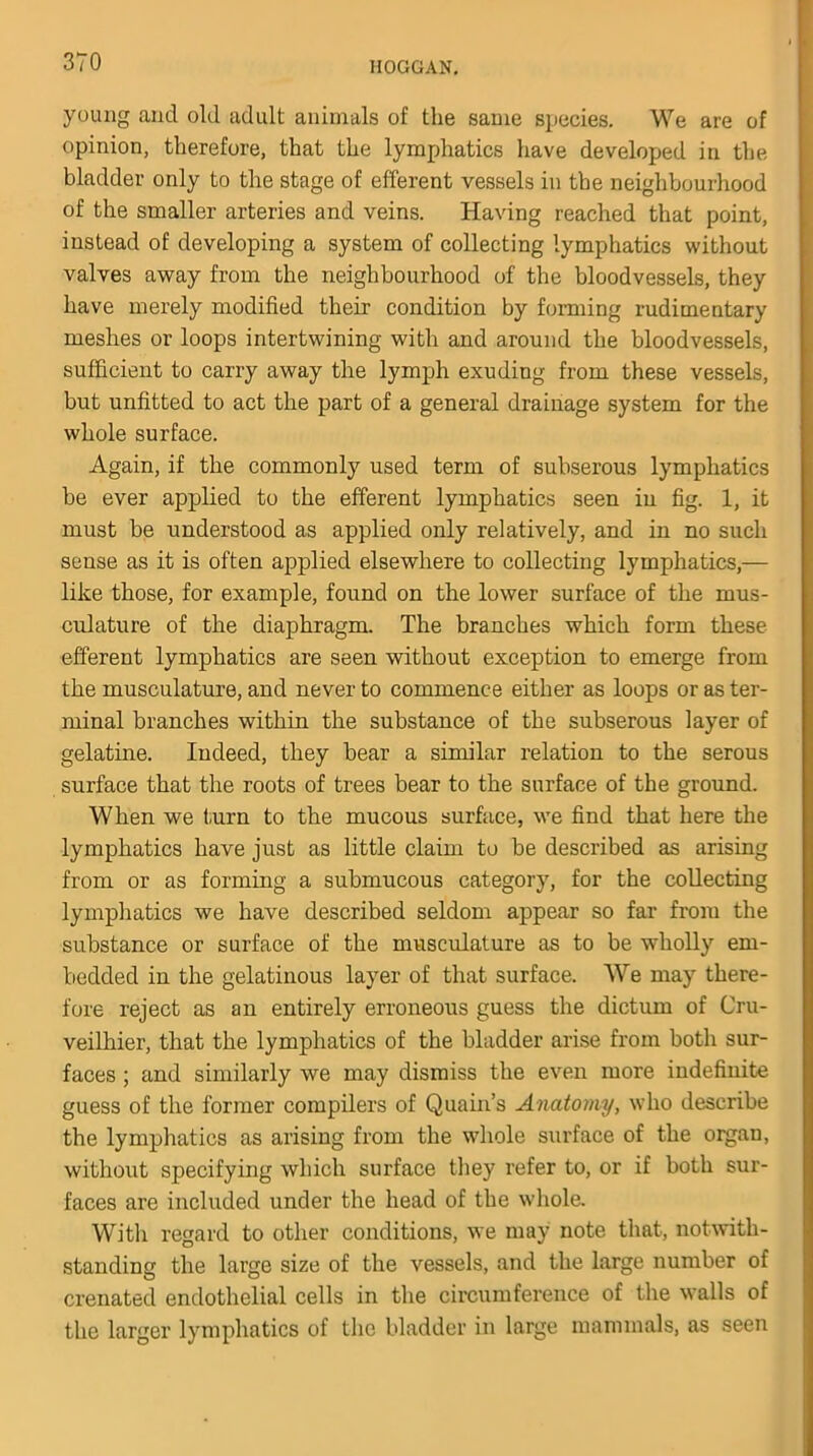young and old adult animals of the same species. We are of opinion, therefore, that the lymphatics have developed in the bladder only to the stage of efferent vessels in the neighbourhood of the smaller arteries and veins. Having reached that point, instead of developing a system of collecting lymphatics without valves away from the neighbourhood of the bloodvessels, they have merely modified their condition by forming rudimentary meshes or loops intertwining with and around the bloodvessels, sufficient to carry away the lymph exuding from these vessels, but unfitted to act the part of a general drainage system for the whole surface. Again, if the commonly used term of subserous lymphatics be ever applied to the efferent lymphatics seen in fig. 1, it must be understood as applied only relatively, and in no such sense as it is often applied elsewhere to collecting lymphatics,— like those, for example, found on the lower surface of the mus- culature of the diaphragm. The branches which form these efferent lymphatics are seen without exception to emerge from the musculature, and never to commence either as loops or as ter- minal branches within the substance of the subserous layer of gelatine. Indeed, they bear a similar relation to the serous surface that the roots of trees bear to the surface of the ground. When we turn to the mucous surface, we find that here the lymphatics have just as little claim to be described as arising from or as forming a submucous category, for the collecting lymphatics we have described seldom appear so far from the substance or surface of the musculature as to be wholly em- bedded in the gelatinous layer of that surface. We may there- fore reject as an entirely erroneous guess the dictum of Cru- veilhier, that the lymphatics of the bladder arise from both sur- faces ; and similarly we may dismiss the even more indefinite guess of the former compilers of Quain’s Anatomy, who describe the lymphatics as arising from the whole surface of the organ, without specifying which surface they refer to, or if both sur- faces are included under the head of the whole. With regard to other conditions, we may note that, notwith- standing the large size of the vessels, and the large number of crenatecl endothelial cells in the circumference of the walls of the larger lymphatics of the bladder in large mammals, as seen