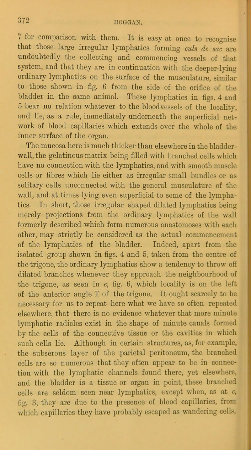 7 for comparison with them. It is easy at once to recognise that those large irregular lymphatics forming culs de sac are undoubtedly the collecting and commencing vessels of that system, and that they are in continuation with the deeper-lying ordinary lymphatics on the surface of the musculature, similar to those shown in fig. 6 from the side of the orifice of the bladder in the same animal. These lymphatics in figs. 4 and 5 bear no relation whatever to the bloodvessels of the locality, and lie, as a rule, immediately underneath the superficial net- work of blood capillaries which extends over the whole of the inner surface of the organ. The mucosa here is much thicker than elsewhere in the bladder- wall, the gelatinous matrix being filled with branched cells which have no connection with the lymphatics, and with smooth muscle cells or fibres which lie either as irregular small bundles or as solitary cells unconnected with the general musculature of the wall, and at times lying even superficial to some of the lympha- tics. In short, those irregular shaped dilated lymphatics being merely projections from the ordinary lymphatics of the wall formerly described which form numerous anastomoses with each other, may strictly be considered as the actual commencement of the lymphatics of the bladder. Indeed, apart from the isolated group shown in figs. 4 and 5, taken from the centre of the trigone, the ordinary lymphatics show a tendency to throw off dilated branches whenever they approach the neighbourhood of the trigone, as seen in e, fig. 6, which locality is on the left of the anterior angle T of the trigone. It ought scarcely to be necessary for us to repeat here what we have so often repeated elsewhere, that there is no evidence whatever that more minute lymphatic radicles exist in the shape of minute canals formed by the cells of the connective tissue or the cavities in which such cells lie. Although in certain structures, as, for example, the subserous layer of the parietal peritoneum, the branched cells are so numerous that they often appear to be in connec- tion with the lymphatic channels found there, yet elsewhere, and the bladder is a tissue or orgau in point, these branched cells are seldom seen near lymphatics, except when, as at c, fig. 3, they are due to the presence of blood capillaries, from which capillaries they have probably escaped as wandering cells,