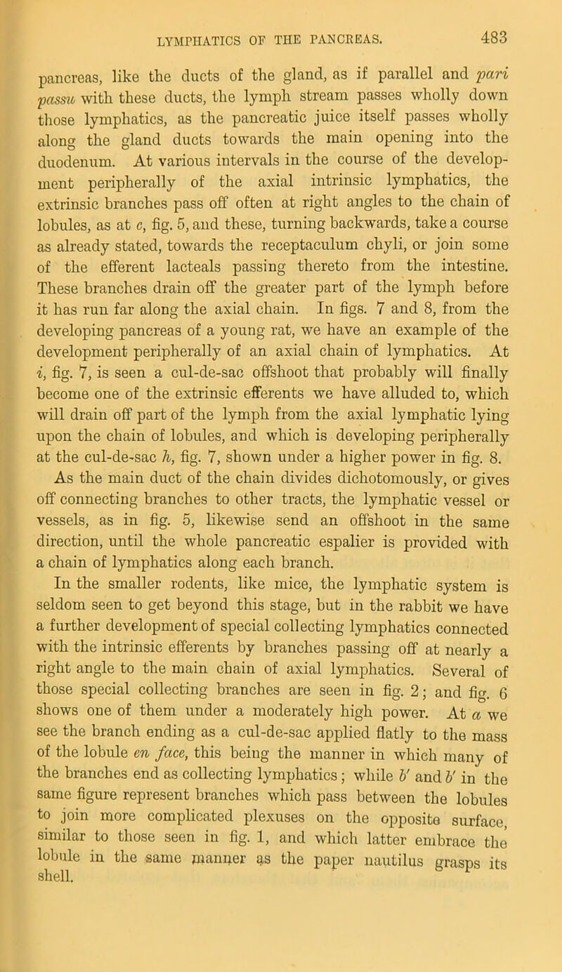 pancreas, like the ducts of the gland, as if parallel and pari passu with these ducts, the lymph stream passes wholly down those lymphatics, as the pancreatic juice itself passes wholly along the gland ducts towards the main opening into the duodenum. At various intervals in the course of the develop- ment peripherally of the axial intrinsic lymphatics, the extrinsic branches pass off often at right angles to the chain of lobules, as at c, fig. 5, and these, turning backwards, take a course as already stated, towards the receptaculum chyli, or join some of the efferent lacteals passing thereto from the intestine. These branches drain off the greater part of the lymph before it has run far along the axial chain. In figs. 7 and 8, from the developing pancreas of a young rat, we have an example of the development peripherally of an axial chain of lymphatics. At i, fig. 7, is seen a cul-de-sac offshoot that probably will finally become one of the extrinsic efferents we have alluded to, which will drain off part of the lymph from the axial lymphatic lying upon the chain of lobules, and which is developing peripherally at the cul-de-sac h, fig. 7, shown under a higher power in fig. 8. As the main duct of the chain divides dichotomously, or gives off connecting branches to other tracts, the lymphatic vessel or vessels, as in fig. 5, likewise send an offshoot in the same direction, until the whole pancreatic espalier is provided with a chain of lymphatics along each branch. In the smaller rodents, like mice, the lymphatic system is seldom seen to get beyond this stage, but in the rabbit we have a further development of special collecting lymphatics connected with the intrinsic efferents by branches passing off at nearly a right angle to the main chain of axial lymphatics. Several of those special collecting branches are seen in fig. 2; and fm f> shows one of them under a moderately high power. At a we see the branch ending as a cul-de-sac applied flatly to the mass of the lobule en face, this being the manner in which many of the branches end as collecting lymphatics; while V and V in the same figure represent branches which pass between the lobules to join more complicated plexuses on the opposite surface, similar to those seen in fig. 1, and which latter embrace the lobule in the same manner as the paper nautilus grasps its shell.