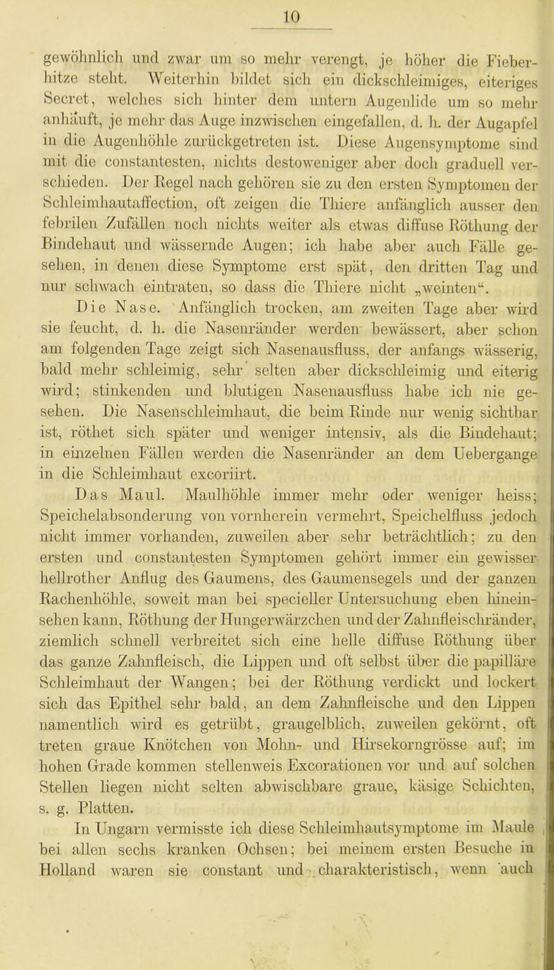 gewöhnlich und zwar um so mehr verengt, je höher die Fieber- hitze steht. Weiterhin bildet sich ein dickschleimiges, eiteriges Secret, welches sich hinter dem untern Augenlide um so mehr anhauft, je mehr das Auge inzwischen eingefallen, d. h. der Augapfel in die Augenhöhle zurückgetreten ist. Diese Augensymptome sind mit die constantesten, nichts destoweniger aber doch graduell ver- schieden. Der Regel nach gehören sie zu den ersten Symptomen der Schleimhautaffection, oft zeigen die Thiere anfänglich ausser den febrilen Zufällen noch nichts weiter als etwas diffuse Röthung der Bindehaut und wässernde Augen; ich habe aber auch Fälle ge- sehen, in denen diese Symptome erst spät, den dritten Tag und nur schwach eintraten, so dass die Thiere nicht „weinten“. Die Nase. Anfänglich trocken, am zweiten Tage aber wird sie feucht, d. h. die Nasenränder werden bewässert, aber schon am folgenden Tage zeigt sich Nasenausfluss, der anfangs wässerig, bald mehr schleimig, sehr’ selten aber dickschleimig und eiterig wird; stinkenden und blutigen Nasenausfluss habe ich nie ge- sehen. Die Nasenschleimhaut, die beim Rinde nur wenig sichtbar ist, röthet sich später und weniger intensiv, als die Bindehaut; in einzelnen Fällen werden die Nasenränder an dem Uebergange in die Schleimhaut excoriirt. Das Maul. Maulhöhle immer mehr oder weniger heiss; Speichelabsonderung von vornherein vermehrt, Speichelfluss jedoch nicht immer vorhanden, zuweilen aber sehr beträchtlich; zu den ersten und constantesten Symptomen gehört immer ein gewisser liellrother Anflug des Gaumens, des Gaumensegels und der ganzen Rachenhöhle, soweit man bei specieller Untersuchung eben hinein- sehen kann, Röthung der Hungerwärzchen und der Zahnfleischränder, ziemlich schnell verbreitet sich eine helle diffuse Röthung über das ganze Zahnfleisch, die Lippen und oft selbst über die papilläre Schleimhaut der Wangen; bei der Röthung verdickt und lockert sich das Epithel sehr bald, an dem Zahnfleische und den Lippen namentlich wird es getrübt, graugelblich, zuweilen gekörnt, oft treten graue Knötchen von Mohn- und Hirsekorngrösse auf; im hohen Grade kommen stellenweis Excorationen vor und auf solchen Stellen liegen nicht selten abwischbare graue, käsige Schichten, s. g. Platten. In Ungarn vermisste ich diese Schleimhautsymptome im Maule bei allen sechs kranken Ochsen; bei meinem ersten Besuche in Holland waren sie constant und charakteristisch, wenn 'auch