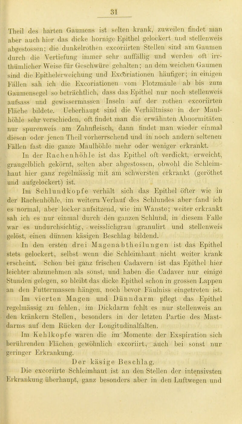 Theil des harten Gaumens ist selten krank, zuweilen findet man aber auch hier das dicke hornige Epithel gelockert und stellen weis abgestossen; die dunkelrothen excoriirtcn Stellen sind am Gaumen durch die Vertiefung immer sehr auffällig und Werden oft irr- thümlieher Weise für Geschwüre gehalten; an dem weichen Gaumen sind die Epithelerweichung und Excbriationen häufiger; in einigen Fällen sah ich die Excoriationen vom Elotzmaule ab bis zum Gaumensegel so beträchtlich, dass das Epithel nur noch stellenweis aufsass und gewissermassen Inseln auf der rothen excoriirten Räche bildete. Ueberhaupt sind die Verhältnisse in der Maul- höhle sehr verschieden, oft findet man die erwähnten Abnormitäten nur spuren weis am Zahnfleisch, dann findet man wieder einmal diesen oder jenen Theil vorherrschend und in noch andern seltenen Fällen fast die ganze Maulhöhle mehr oder weniger erkrankt. In der Rachen höhle ist das Epithel oft verdickt, erweicht, graugelblich gekörnt, selten aber abgestossen, obwohl die Schleim- haut hier ganz regelmässig mit am schwersten erkrankt (geröthet und aufgelockert) ist. Im Schlundkopfe verhält sich das Epithel öfter wie in der Rachenhöhle, im weitern Verlauf des Schlundes aber fand ich es normal, aber lockeraufsitzend, wie im Wanste; weiter erkrankt sah ich es nur einmal durch den ganzen Schlund, in diesem Falle war es undurchsichtig, - weisslichgrau granulirt und stellenweis gelöst, einen dünnen käsigen Beschlag bildend. In den ersten drei Magen abtheil ungen ist das Epithel stets gelockert, selbst wenn die Schleimhaut nicht weiter krank erscheint. Schon bei ganz frischen Cadavern ist das Epithel hier leichter abzunehmen als sonst, und haben die Cadaver nur einige Stunden gelegen, so bleibt das dicke Epithel schon in grossen Lappen an den Futtermassen hängen, noch bevor Fäulniss eingetreten ist. Im vierten Magen und Dünndarm pflegt das Epithel regelmässig zu fehlen, im Dickdarm fehlt es nur stellenweis an den kränkern Stellen, besonders in der letzten Partie des Mast- darrns auf dem Rücken der Longitudinalfalten. Im Kehlkopfe waren die im Momente der Exspiration sich berührenden Flächen gewöhnlich excoriirt, auch bei sonst nur geringer Erkrankung. Der käsige Beschlag. Die excoriirte Schleimhaut ist an den Stellen der intensivsten Erkrankung überhaupt, ganz besonders aber in den Luftwegen und