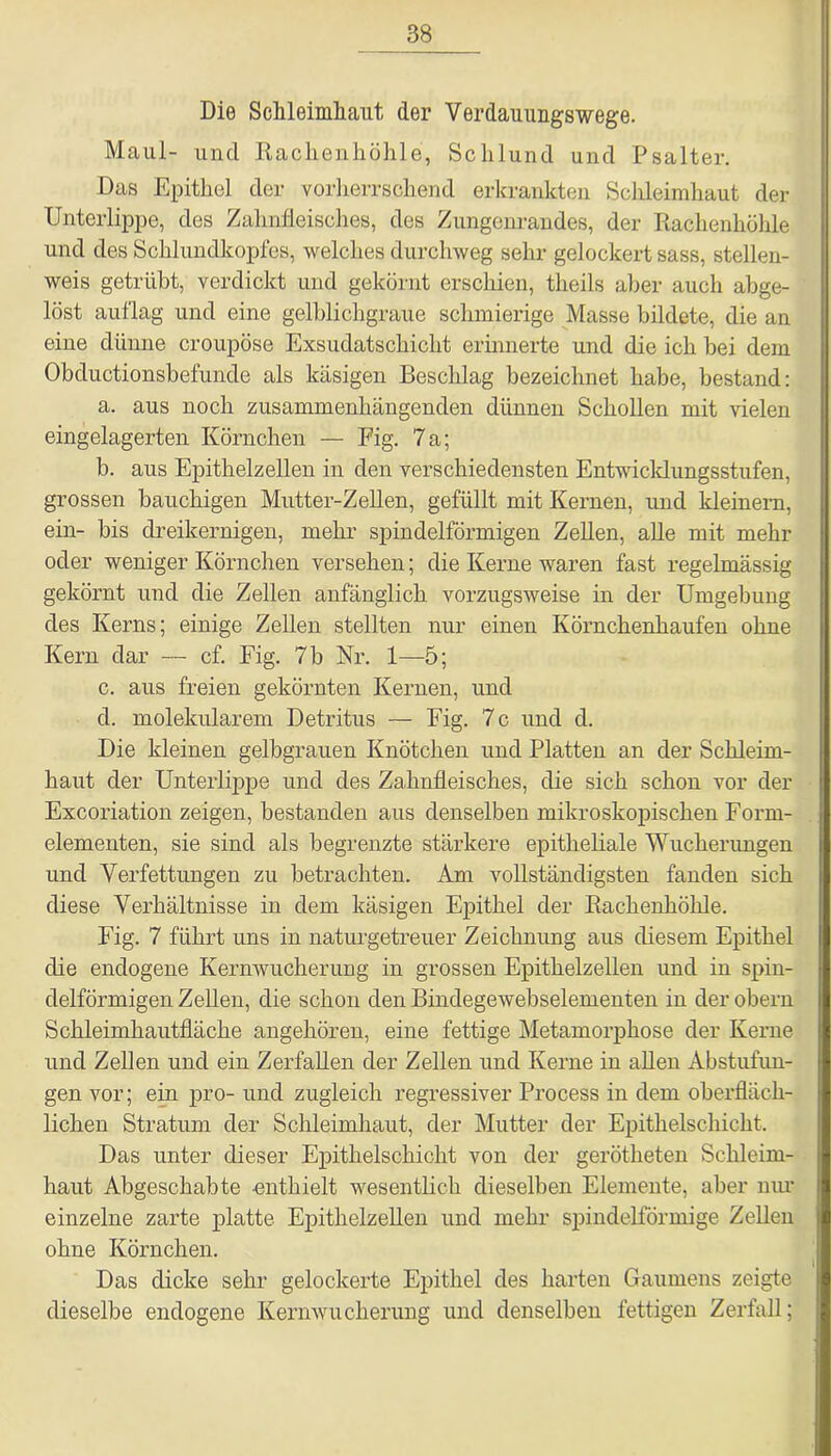 Die Schleimhaut der Verdauungswege. Maul- und Rachenhöhle, Schlund und Psalter. Das Epithel der vorherrschend erkrankten Schleimhaut der Unterlippe, des Zahnfleisches, des Zungenrandes, der Kachenhöhle und des Schlundkopfes, welches durchweg sehr gelockert sass, stellen- weis getrübt, verdickt und gekörnt erschien, theils aber auch abge- löst auflag und eine gelblichgraue schmierige Masse bildete, die an eine dünne croupöse Exsudatschicht erinnerte und die ich bei dem Obductionsbefunde als käsigen Beschlag bezeichnet habe, bestand: a. aus noch zusammenhängenden dünnen Schollen mit vielen eingelagerten Körnchen — Fig. 7a; b. aus Epithelzellen in den verschiedensten Entwicklungsstufen, grossen bauchigen Mutter-Zellen, gefüllt mit Kernen, und kleinern, ein- bis dreikernigen, mehr spindelförmigen Zellen, alle mit mehr oder weniger Körnchen versehen; die Kerne waren fast regelmässig gekörnt und die Zellen anfänglich vorzugsweise in der Umgebung des Kerns; einige Zellen stellten nur einen Körnchenhaufen ohne Kern dar — cf. Fig. 7 b Nr. 1—5; c. aus freien gekörnten Kernen, und d. molekularem Detritus — Fig. 7 c und d. Die kleinen gelbgrauen Knötchen und Platten an der Schleim- haut der Unterlippe und des Zahnfleisches, die sich schon vor der Excoriation zeigen, bestanden aus denselben mikroskopischen Form- elementen, sie sind als begrenzte stärkere epitheliale Wucherungen und Verfettungen zu betrachten. Am vollständigsten fanden sich diese Verhältnisse in dem käsigen Epithel der Kachenhöhle. Fig. 7 führt uns in naturgetreuer Zeichnung aus diesem Epithel die endogene Kernwucherung in grossen Epithelzellen und in spin- delförmigen Zellen, die schon den Bindegewebselementen in der obern Schleimhautfläche angehören, eiue fettige Metamorphose der Kerne und Zellen und ein Zerfallen der Zellen und Kerne iu allen Abstufun- gen vor; ein pro- und zugleich regressiver Process in dem oberfläch- lichen Stratum der Schleimhaut, der Mutter der Epithelschicht. Das unter dieser Epithelschicht von der gerötheten Schleim- haut Abgeschabte -enthielt wesentlich dieselben Elemente, aber nur einzelne zarte platte Epithelzellen und mehr spindelförmige Zellen ohne Körnchen. Das dicke sehr gelockerte Epithel des harten Gaumens zeigte dieselbe endogene Kernwucherung und denselben fettigen Zerfall;