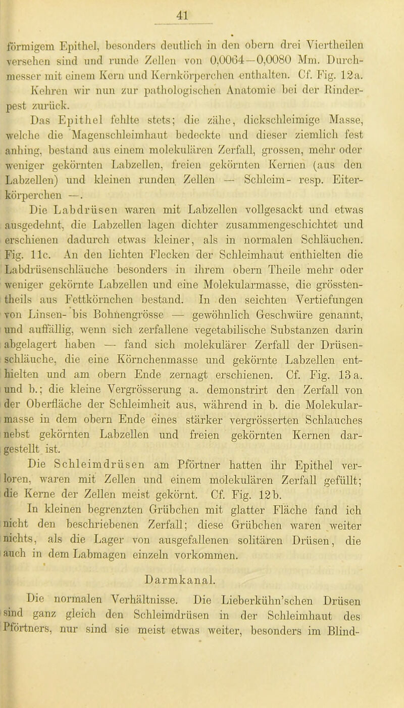 förmigem Epithel, besonders deutlich in den obern drei Viertheilen versehen sind und runde Zellen von 0,0004—0,0080 Mm. Durch- messer mit einem Kern und Kernkörperchen -enthalten. Cf. Fig. 12 a. Kehren wir nun zur pathologischen Anatomie bei der Rinder- pest zurück. Das Epithel fehlte stets; die zähe, dickschleimige Masse, welche die Magenschleimhaut bedeckte und dieser ziemlich fest anhing, bestand aus einem molekularen Zerfall, grossen, mehr oder weniger gekörnten Labzellen, freien gekörnten Kernen (aus den Labzellen) und kleinen runden Zellen — Schleim- resp. Eiter- körperchen —. Die Labdrüsen waren mit Labzellen vollgesackt und etwas ausgedehnt, die Labzellen lagen dichter zusammengeschichtet und erschienen dadurch etwas kleiner, als in normalen Schläuchen. Fig. 11c. An den lichten Flecken der Schleimhaut enthielten die Labdriisenschläiiche besonders in ihrem obern Theile mehr oder weniger gekörnte Labzellen und eine Molekularmasse, die grössten- theils aus Fettkörnchen bestand. In den seichten Vertiefungen von Linsen- bis Bohnengrösse — gewöhnlich Geschwüre genannt, und auffällig, wenn sich zerfallene vegetabilische Substanzen darin abgelagert haben — fand sich molekulärer Zerfall der Drüsen- schläuche, die eine Körnchenmasse und gekörnte Labzellen ent- hielten und am obern Ende zernagt erschienen. Cf. Fig. 13 a. und b.; die kleine Vergrösserung a. demonstrirt den Zerfall von der Oberfläche der Schleimheit aus, während in b. die Molekular- masse in dem obern Ende eines stärker vergrösserten Schlauches nebst gekörnten Labzellen und freien gekörnten Kernen dar- gestellt ist. Die Schleimdrüsen am Pförtner hatten ihr Epithel ver- loren, waren mit Zellen und einem molekularen Zerfall gefüllt; die Kerne der Zellen meist gekörnt. Cf. Fig. 12 b. In kleinen begrenzten Grübchen mit glatter Fläche fand ich nicht den beschriebenen Zerfall; diese Grübchen waren weiter nichts, als die Lager von ausgefallenen solitären Drüsen, die auch in dem Labmagen einzeln Vorkommen. Darmkanal. Die normalen Verhältnisse. Die Lieberkühn’schen Drüsen sind ganz gleich den Schleimdrüsen in der Schleimhaut des Pförtners, nur sind sie meist etwas weiter, besonders im Blind-