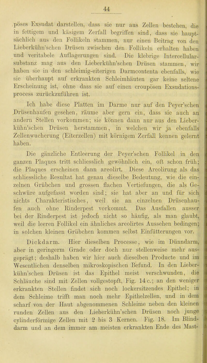 pöscs Exsudat darstellen, dass sie nur aus Zellen bestehen, die in fettigem und käsigem Zerfall begriffen sind, dass sie haupt- sächlich aus den Follikeln stammen, nur einen Beitrag von den Lieberkülnrschen Drüsen zwischen den Follikeln erhalten haben und veritabele Auflagerungen sind. Die klebrige Intercellular- substanz mag aus den Lieberkübn’schen Drüsen stammen, wir haben sie in den schleimig-eiterigen Darmcontenta ebenfalls, wie sie überhaupt auf erkrankten Schleimhäuten gar keine seltene Erscheinung ist, ohne dass sie auf einen croupösen Exsudations- process zurückzuführen ist. Ich habe diese Platten im Darme nur auf den Peyer’schen Drüsenhaufen gesehen, räume aber gern ein, dass sie auch an andern Stellen Vorkommen; sie können dann nur aus den Lieber- kühn’schen Drüsen herstammen, in welchen wir ja ebenfalls Zellenwucherung (Eiterzellen) mit körnigem Zerfall kennen gelernt haben. Die gänzliche Entleerung der Peyer’schen Follikel in den ganzen Plaques tritt schliesslich gewöhnlich ein, oft schon früh; die Plaques erscheinen dann areolirt. Diese Areolirung als das schliessliche Resultat hat genau dieselbe Bedeutung, wie die ein- zelnen Grübchen und grossen flachen Vertiefungen, die als Ge- schwüre aufgefasst worden sind; sie hat aber an und für sich nichts Charakteristisches, weil sie an einzelnen Drüsenhau- fen auch ohne Rinderpest vorkommt. Das Ausfallen ausser bei der Rinderpest ist jedoch nicht so häufig, als man glaubt, weil die leeren Follikel ein ähnliches areolirtes Aussehen bedingen; in solchen Meinen Grübchen kommen selbst Einfütterungen vor. Dickdarm. Hier dieselben Processe, wie im Dünndarm, aber in geringerm Grade oder doch nur stellenweise mehr aus- geprägt; deshalb haben wir hier auch dieselben Producte und im Wesentlichen denselben mikroskopischen Befund. In den Lieber- kiihn’schen Drüsen ist das Epithel meist verschwunden, die Schläuche sind mit Zellen vollgestopft, Fig. 14 c.; an den weniger erkrankten Stellen findet sich noch lockersitzendes Epithel; in dem Schleime trifft man noch mein- Epithelzellen, und in dem scharf von der Haut abgenommenen Schleime neben den Meinen runden Zellen aus den Lieberkühn’schen Drüsen noch junge cylinderförmige Zellen mit 2 bis 3 Kernen. Fig. 18. Im Blind- darm und an dem immer am meisten erkrankten Ende des Mast-