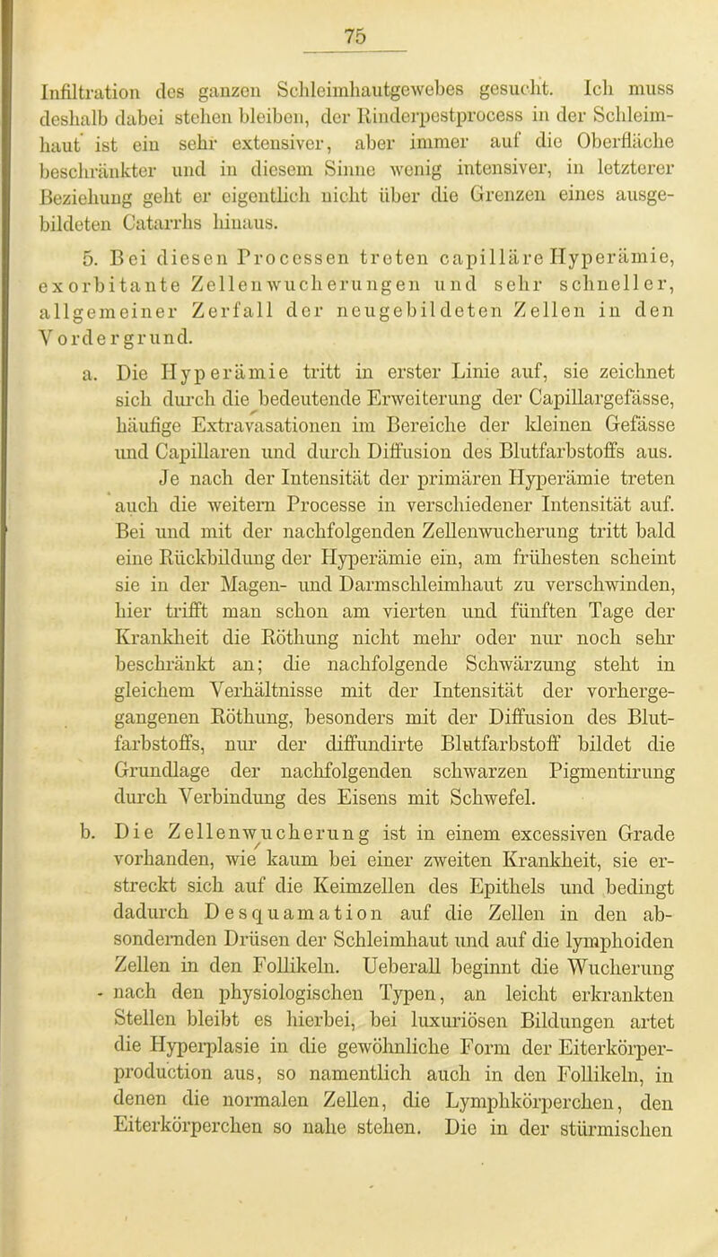 Infiltration des ganzen Schleimhautgewebes gesucht. Ich muss deshalb dabei stehen bleiben, der Rinderpestprocess in der Schleim- haut ist ein sehr extensiver, aber immer auf die Oberfläche beschränkter und in diesem Sinne wenig intensiver, in letzterer Beziehung geht er eigentlich nicht über die Grenzen eines ausge- bildeten Catarrhs hinaus. 5. Bei diesen Processen treten capilläre Hyperämie, exorbitante Zellenwucherungen und sehr schneller, allgemeiner Zerfall der neugebildeten Zellen in den Y ordergrund. a. Die Hyperämie tritt in erster Linie auf, sie zeichnet sich durch die bedeutende Erweiterung der Capillargefässe, häufige Extravasationen im Bereiche der kleinen Gefässe und Capillaren und durch Diffusion des Blutfarbstoffs aus. Je nach der Intensität der primären Hyperämie treten auch die weitern Processe in verschiedener Intensität auf. Bei und mit der nachfolgenden Zellenwucherung tritt bald eine Rückbildung der Hyperämie ein, am frühesten scheint sie in der Magen- und Darmschleimhaut zu verschwinden, hier trifft man schon am vierten und fünften Tage der Krankheit die Röthung nicht mehr oder nur noch sehr beschränkt an; die nachfolgende Schwärzung steht in gleichem Verhältnisse mit der Intensität der vorherge- gangenen Röthung, besonders mit der Diffusion des Blut- farbstoffs, nur der cliffundirte Blutfarbstoff bildet die Grundlage der nachfolgenden schwarzen Pigmentirung durch Verbindung des Eisens mit Schwefel. b. Die Zeilenwuchernng ist in einem excessiven Grade vorhanden, wie kaum bei einer zweiten Krankheit, sie er- streckt sich auf die Keimzellen des Epithels und bedingt dadurch Desquamation auf die Zellen in den ab- sondernden Drüsen der Schleimhaut und auf die lymphoiden Zellen in den Follikeln. Ueberall beginnt die Wucherung - nach den physiologischen Typen, an leicht erkrankten Stellen bleibt es hierbei, bei luxuriösen Bildungen artet die Hyperplasie in die gewöhnliche Form der Eiterkörper- production aus, so namentlich auch in den Follikeln, in denen die normalen Zellen, die Lymphkörpercken, den Eiterkörperchen so nahe stehen. Die in der stürmischen