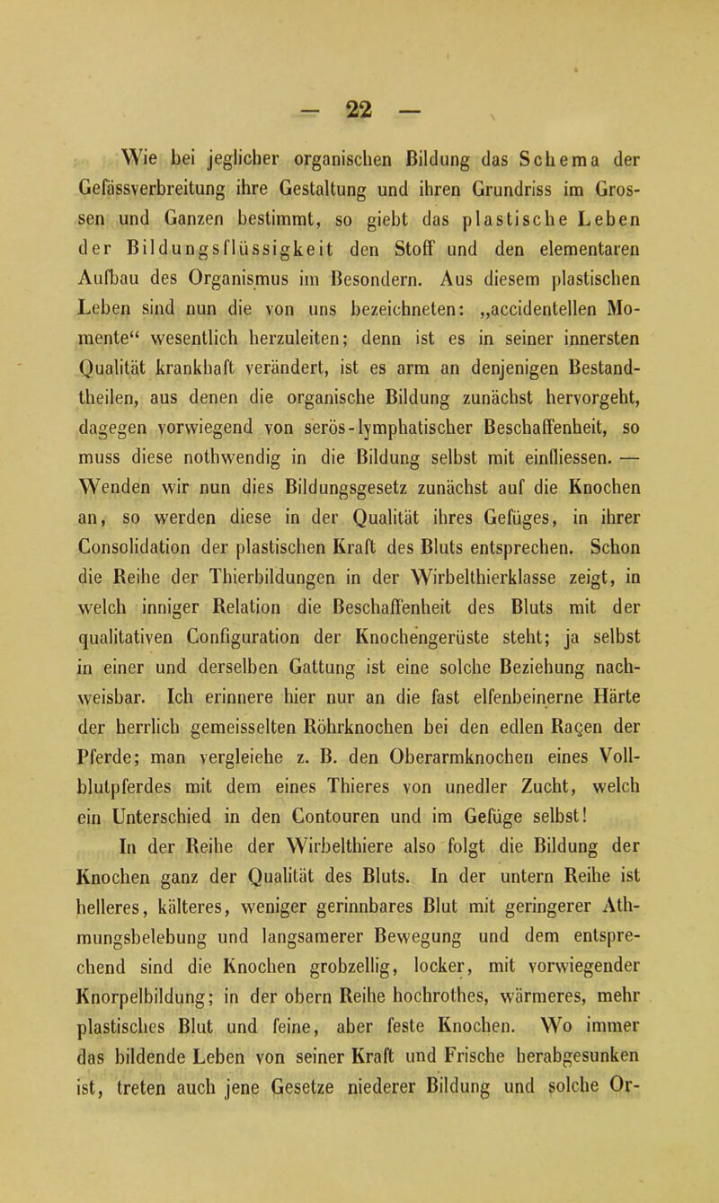 Wie bei jeglicher organischen Bildung das Schema der Gefässverbreitung ihre Gestaltung und ihren Grundriss im Gros- sen und Ganzen bestimmt, so giebt das plastische Leben der Bildungsflüssigkeit den Stoff und den elementaren Aufbau des Organismus im Besondere Aus diesem plastischen Leben sind nun die von uns bezeichnten: „accidentellen Mo- mente“ wesentlich herzuleiten; denn ist es in seiner innersten Qualität krankhaft verändert, ist es arm an denjenigen Bestand- teilen, aus denen die organische Bildung zunächst hervorgeht, dagegen vorwiegend von serös-lymphatischer Beschaffenheit, so muss diese notwendig in die Bildung selbst mit einfliessen. — Wenden wir nun dies Bildungsgesetz zunächst auf die Knochen an, so werden diese in der Qualität ihres Gefüges, in ihrer Consolidation der plastischen Kraft des Bluts entsprechen. Schon die Reihe der Thierbildungen in der Wirbelthierklasse zeigt, in welch inniger Relation die Beschaffenheit des Bluts mit der qualitativen Configuration der Knochengerüste steht; ja selbst in einer und derselben Gattung ist eine solche Beziehung nach- weisbar. Ich erinnere hier nur an die fast elfenbeinerne Härte der herrlich gemeisselten Röhrknochen bei den edlen Ragen der Pferde; man vergleiche z. B. den Oberarmknochen eines Voll- blutpferdes mit dem eines Thieres von unedler Zucht, welch ein Unterschied in den Contouren und im Gefüge selbst! In der Reihe der Wirbelthiere also folgt die Bildung der Knochen ganz der Qualität des Bluts. In der untern Reihe ist helleres, kälteres, weniger gerinnbares Blut mit geringerer Ath- mungsbelebung und langsamerer Bewegung und dem entspre- chend sind die Knochen grobzellig, locker, mit vorwiegender Knorpelbildung; in der obern Reihe hochrothes, wärmeres, mehr plastisches Blut und feine, aber feste Knochen. Wo immer das bildende Leben von seiner Kraft und Frische herabgesunken ist, treten auch jene Gesetze niederer Bildung und solche Or-
