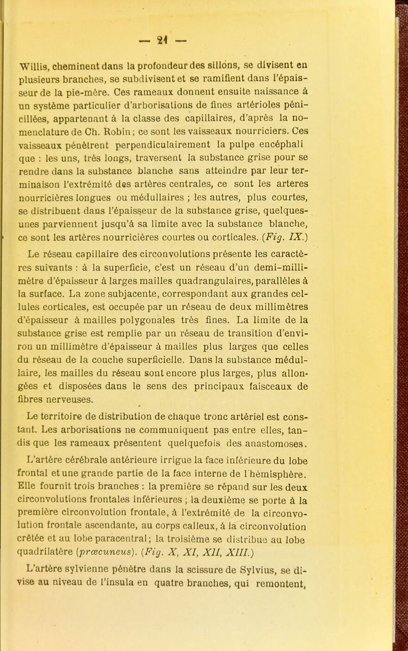 Willis, cheminent dans la profondeur des sillons, se divisent en plusieurs branches, se subdivisent et se ramifient dans l’épais- seur de la pie-mère. Ces rameaux donnent ensuite naissance à un système particulier d’arborisations de fines artérioles péni- cillées, appartenant à la classe des capillaires, d’après la no- menclature de Ch. Robin ; ce sont les vaisseaux nourriciers. Ces vaisseaux pénètrent perpendiculairement la pulpe encéphali que : les uns, très longs, traversent la substance grise pour se rendre dans la substance blanche sans atteindre par leur ter- minaison l’extrémité des artères centrales, ce sont les arteres nourricières longues ou médullaires ; les autres, plus courtes, se distribuent dans l’épaisseur de la substance grise, quelques- unes parviennent jusqu’à sa limite avec la substance blanche, ce sont les artères nourricières courtes ou corticales. (Fig. IX.) Le réseau capillaire des circonvolutions présente les caractè- res suivants : à la superficie, c’est un réseau d’un demi-milli- mètre d’épaisseur à larges mailles quadrangulaires, parallèles à la surface. La zone subjacente, correspondant aux grandes cel- lules corticales, est occupée par un réseau de deux millimètres d’épaisseur à mailles polygonales très fines. La limite de la substance grise est remplie par un réseau de transition d’envi- ron un millimètre d’épaisseur à mailles plus larges que celles du réseau de la couche superficielle. Dans la substance médul- laire, les mailles du réseau sont encore plus larges, plus allon- gées et disposées dans le sens des principaux faisceaux de fibres nerveuses. Le territoire de distribution de chaque tronc artériel est cons- tant. Les arborisations ne communiquent pas entre elles, tan- dis que les rameaux présentent quelquefois des anastomoses. L’artère cérébrale antérieure irrigue la face inférieure du lobe frontal et une grande partie de la face interne de 1 hémisphère. Elle fournit trois branches : la première se répand sur les deux circonvolutions frontales inférieures ; la deuxième se porte à la première circonvolution frontale, à l’extrémité de la circonvo- lution frontale ascendante, au corps calleux, à la circonvolution crêtée et au lobe paracenlral ; la troisième se distribue au lobe quadrilatère (prœcuneus). (Fig. X, XI, XII, XIII.) L’artère sylvienne pénètre dans la scissure de Sylvius, se di- vise au niveau de l’insula en quatre branches, qui remontent,