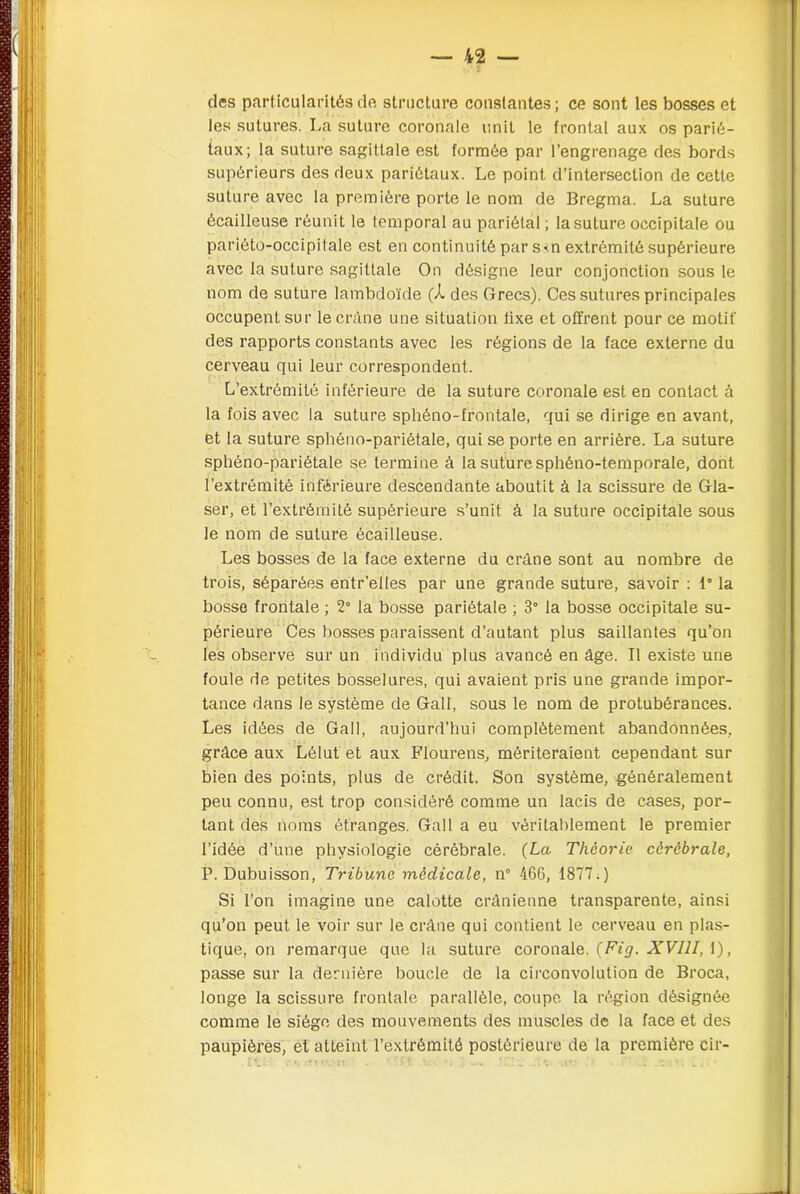 des particularités de structure constantes; ce sont les bosses et les sutures. La suture coronale unit le frontal aux os parié- taux; la suture sagittale est formée par l’engrenage des bords supérieurs des deux pariétaux. Le point d’intersection de cette suture avec la première porte le nom de Bregma. La suture écailleuse réunit le temporal au pariétal; la suture occipitale ou pariéto-occipitale est en continuité par s«.n extrémité supérieure avec la suture sagittale On désigne leur conjonction sous le nom de suture lambdoïde (X des Grecs). Ces sutures principales occupent sur le crâne une situation lixe et offrent pour ce motif des rapports constants avec les régions de la face externe du cerveau qui leur correspondent. L’extrémité inférieure de la suture coronale est en contact à la fois avec la suture sphéno-frontale, qui se dirige en avant, et la suture sphéno-pariétale, qui se porte en arrière. La suture sphéno-pariétale se termine à la suture sphéno-temporale, dont l’extrémité inférieure descendante aboutit à la scissure de Gla- ser, et l’extrémité supérieure s’unit à la suture occipitale sous le nom de suture écailleuse. Les bosses de la face externe du crâne sont au nombre de trois, séparées entr’elies par une grande suture, savoir : 1° la bosse frontale ; 2° la bosse pariétale ; 3° la bosse occipitale su- périeure Ces bosses paraissent d’autant plus saillantes qu’on les observe sur un individu plus avancé en âge. Il existe une foule de petites bosselures, qui avaient pris une grande impor- tance dans le système de Gall, sous le nom de protubérances. Les idées de Gall, aujourd’hui complètement abandonnées, grâce aux Lèlut et aux Flourens, mériteraient cependant sur bien des points, plus de crédit. Son système, généralement peu connu, est trop considéré comme un lacis de cases, por- tant des noms étranges. Gall a eu véritablement le premier l’idée d’une physiologie cérébrale. (La Théorie cérébrale, P. Dubuisson, Tribune médicale, n° 466, 1877 0 Si l’on imagine une calotte crânienne transparente, ainsi qu’on peut le voir sur le crâne qui contient le cerveau en plas- tique, on remarque que la suture coronale. (Fig. XV11I, 1), passe sur la dernière boucle de la circonvolution de Broca, longe la scissure frontale parallèle, coupe la région désignée comme le siège des mouvements des muscles de la face et des paupières, et atteint l’extrémité postérieure de la première cir-