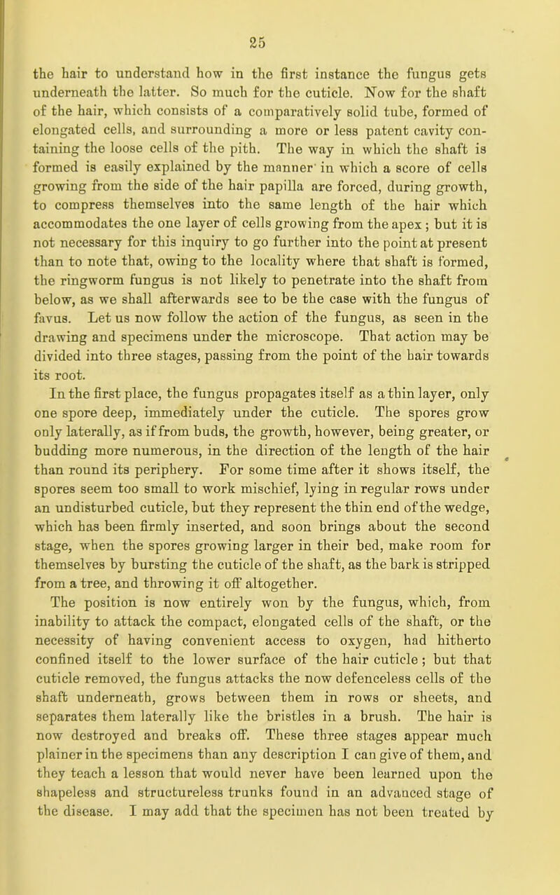 the hair to understand how in the first instance the fungus gets underneath the latter. So much for the cuticle. Now for the shaft of the hair, which consists of a comparatively solid tube, formed of elongated cells, and surrounding a more or less patent cavity con- taining the loose cells of the pith. The way in which the shaft is formed is easily explained by the manner in which a score of cells growing from the side of the hair papilla are forced, during growth, to compress themselves into the same length of the hair which accommodates the one layer of cells growing from the apex ; but it is not necessary for this inquiry to go further into the point at present than to note that, owing to the locality where that shaft is formed, the ringworm fungus is not likely to penetrate into the shaft from below, as we shall afterwards see to be the case with the fungus of favus. Let us now follow the action of the fungus, as seen in the drawing and specimens under the microscope. That action may be divided into three stages, passing from the point of the hair towards its root. In the first place, the fungus propagates itself as a thin layer, only one spore deep, immediately under the cuticle. The spores grow only laterally, as if from buds, the growth, however, being greater, or budding more numerous, in the direction of the length of the hair than round its periphery. For some time after it shows itself, the spores seem too small to work mischief, lying in regular rows under an undisturbed cuticle, but they represent the thin end of the wedge, which has been firmly inserted, and soon brings about the second stage, when the spores growing larger in their bed, make room for themselves by bursting the cuticle, of the shaft, as the bark is stripped from a tree, and throwing it off altogether. The position is now entirely won by the fungus, which, from inability to attack the compact, elongated cells of the shaft, or the necessity of having convenient access to oxygen, had hitherto confined itself to the lower surface of the hair cuticle; but that cuticle removed, the fungus attacks the now defenceless cells of the shaft underneath, grows between them in rows or sheets, and separates them laterally like the bristles in a brush. The hair is now destroyed and breaks off. These three stages appear much plainer in the specimens than any description I can give of them, and they teach a lesson that would never have been learned upon the shapeless and structureless trunks found in an advanced stage of the disease. I may add that the specimen has not been treated by