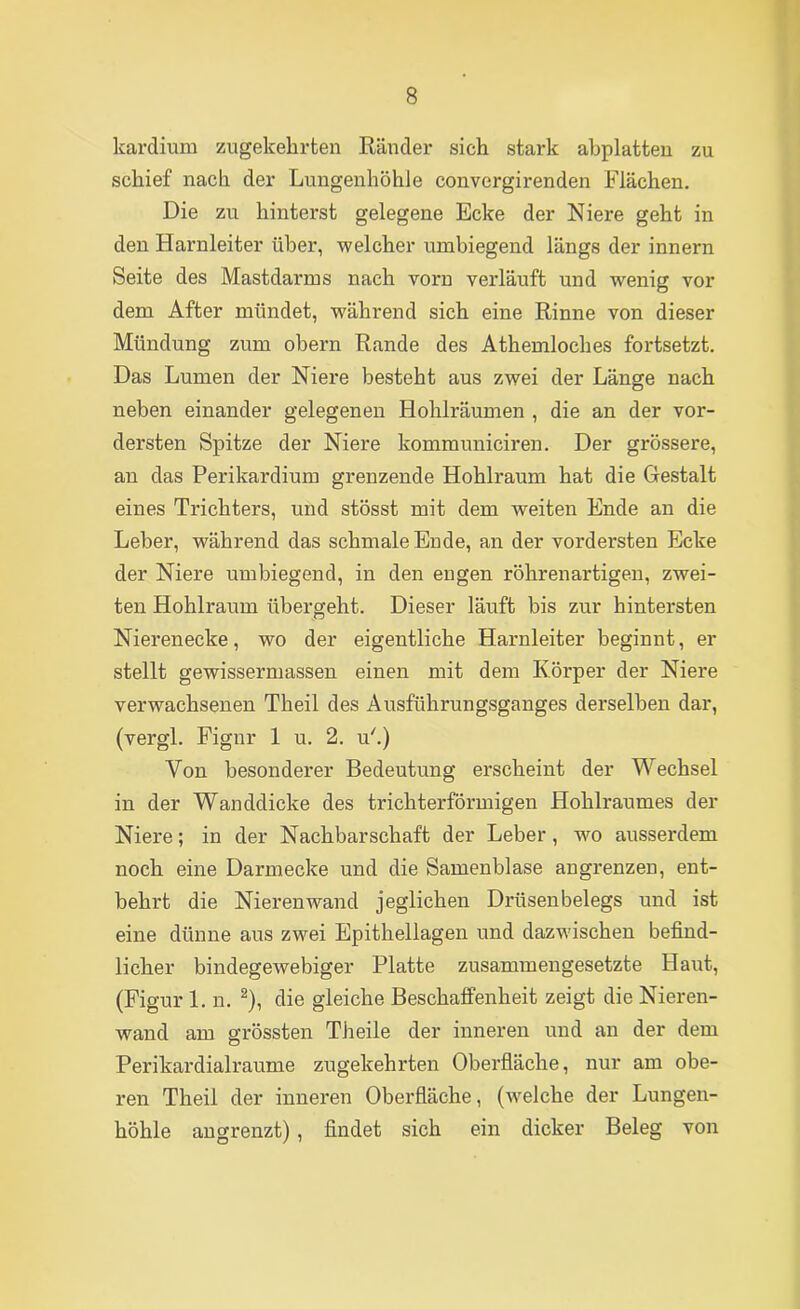 kardium ziigekelirten Ränder sich stark abplatteu zu schief nach der Lungenhöhle convergirenden Flächen, Die zu hinterst gelegene Ecke der Niere geht in den Harnleiter über, welcher umbiegend längs der Innern Seite des Mastdarms nach vorn verläuft und wenig vor dem After mündet, während sich eine Rinne von dieser Mündung zum obern Rande des Athemloches fortsetzt. Das Lumen der Niere besteht aus zwei der Länge nach neben einander gelegenen Hohlräumen , die an der vor- dersten Spitze der Niere kommuniciren. Der grössere, an das Perikardium grenzende Hohlraum hat die Gestalt eines Trichters, und stösst mit dem weiten Ende an die Leber, während das schmale Ende, an der vordersten Ecke der Niere umbiegend, in den engen röhrenartigen, zwei- ten Hohlraum übergeht. Dieser läuft bis zur hintersten Nierenecke, wo der eigentliche Harnleiter beginnt, er stellt gewissem)assen einen mit dem Körper der Niere verwachsenen Theil des Ausführungsganges derselben dar, (vergl. Figur 1 u. 2. u'.) Von besonderer Bedeutung erscheint der Wechsel in der Wanddicke des trichterförmigen Hohlraumes der Niere; in der Nachbarschaft der Leber, wo ausserdem noch eine Darmecke und die Samenblase angrenzen, ent- behrt die Nieren wand jeglichen Drüsen belegs und ist eine dünne aus zwei Epithellagen und dazwischen befind- licher bindegewebiger Platte zusammengesetzte Haut, (Figur 1. n. ^), die gleiche Beschaffenheit zeigt die Nieren- wand am grössten Theile der inneren und an der dem Perikardialraume zugekehrten Oberfläche, nur am obe- ren Theil der inneren Oberfläche, (welche der Lungen- höhle augrenzt), findet sich ein dicker Beleg von