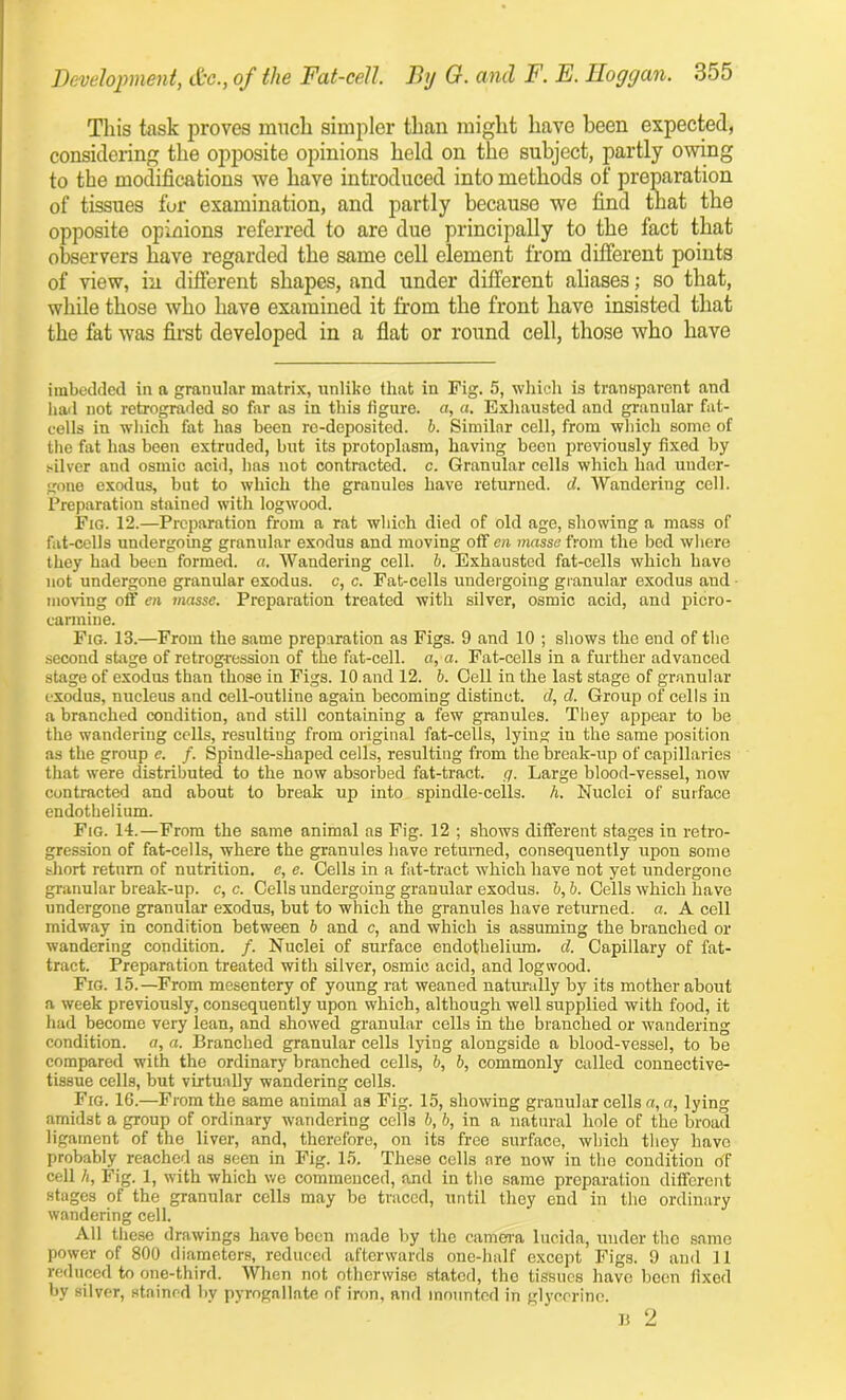 This task proves much simpler than might have been expected, considering the opposite opinions held on the subject, partly owing to the modifications we have introduced into methods of preparation of tissues for examination, and partly because we find that the opposite opinions referred to are due principally to the fact that observers have regarded the same cell element from different points of view, in different shapes, and under different aliases; so that, while those who have examined it from the front have insisted that the fat was first developed in a flat or round cell, those who have imbedded in a granular matrix, unlike that in Fig. 5, which is transparent and had not retrograded so far as in this figure, a, a. Exhausted and granular fat- cells in which fat has been re-deposited, b. Similar cell, from which some of the fat has been extruded, but its protoplasm, having been previously fixed by silver and osmic acid, has not contracted, c. Granular cells which had under- gone exodus, but to which the granules have returned, cl. Wandering cell. Preparation stained with logwood. Fig. 12.—Preparation from a rat which died of old age, showing a mass of fat-cells undergoing granular exodus and moving off en masse from the bed where they had been formed, a. Wandering cell. b. Exhausted fat-cells which have not undergone granular exodus, c, c. Fat-cells undergoing granular exodus and moving off en masse. Preparation treated with silver, osmic acid, and picro- carmine. Fig. 13.—From the same preparation as Figs. 9 and 10 ; shows the end of the second stage of retrogression of the fat-cell, a, a. Fat-cells in a further advanced stage of exodus than those in Figs. 10 and 12. b. Cell in the last stage of granular exodus, nucleus and cell-outline again becoming distinct, d, cl. Group of cells in a branched condition, and still containing a few granules. They appear to be the wandering cells, resulting from original fat-cells, lying in the same position as the group e. f. Spindle-shaped cells, resulting from the break-up of capillaries that were distributed to the now absorbed fat-tract, g. Large blood-vessel, now contracted and about to break up into spindle-cells. A. Nuclei of surface endothelium. Fig. 14.—From the same animal ns Fig. 12 ; shows different stages in retro- gression of fat-cells, where the granules have returned, consequently upon some short return of nutrition, e, e. Cells in a fat-tract which have not yet undergone granular break-up. c, c. Cells undergoing granular exodus, b, b. Cells which have undergone granular exodus, but to which the granules have returned, a. A cell midway in condition between b and c, and which is assuming the branched or wandering condition. /. Nuclei of surface endothelium, d. Capillary of fat- tract. Preparation treated with silver, osmic acid, and logwood. Fig. 15.—From mesentery of young rat weaned naturally by its mother about a week previously, consequently upon which, although well supplied with food, it had become very lean, and showed granular cells in the branched or wandering condition, a, a. Branched granular cells lying alongside a blood-vessel, to be compared with the ordinary branched cells, 6, b, commonly called connective- tissue cells, but virtually wandering cells. Fig. 16.—From the same animal as Fig. 15, showing granular cells a, a, lying amidst a group of ordinary wandering cells b, b, in a natural hole of the broad ligament of the liver, and, therefore, on its free surface, which they have probably reached as seen in Fig. 15. These cells are now in the condition df cell A, Fig. 1, with which we commenced, and in the same preparation different stages of the granular cells may be traced, until they end in the ordinary wandering cell. All these drawings have been made by the camera lucida, under the same power of 800 diameters, reduced afterwards one-half except Figs. 9 and 11 reduced to one-third. When not otherwise stated, the tissues have been fixed by silver, stained by pyrogallate of iron, and mounted in glycerine. B 2