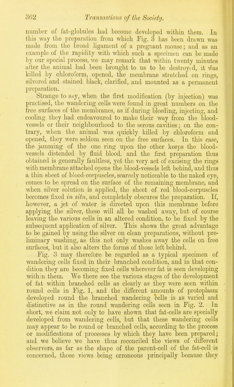 number of fat-globules had become developed within them. In this way the preparation from which Fig. 3 has been drawn was made from the broad ligament of a pregnant mouse; and as an example of the rapidity with which such a specimen can be made by our special process, we may remark that within twenty minutes after the animal had been brought to us to be destroy* d, it was killed by chloroform, opened, the membrane stretched on rings, silvered and stained black, clarified, and mounted as a permanent preparation. Strange to say, when the first modification (by injection) was practised, the wandering cells were found in great numbers on the free surfaces of the membranes, as if during bleeding, injecting, and cooling they had endeavoured to make their way from the blood- vessels or their neighbourhood to the serous cavities; on the con- trary, when the animal was quickly killed by chloroform and opened, they were seldom seen on the free surfaces. In this case, the jamming of the one ring upon the other keeps the blood- vessels distended by fluid blood, and the first preparation thus obtained is generally faultless, yet the very act of excising the rings with membrane attached opens the blood-vessels left behind, and thus a thin sheet of blood-corpuscles, scarcely noticeable to the naked eye, comes to be spread on the surface of the remaining membrane, and when silver solution is applied, the sheet of red blood-corpuscles becomes fixed in situ, and completely obscures the preparation. If, however, a jet of water is directed upon this membrane before applying the silver, these will all be washed away, but of course leaving the various cells in an altered condition, to be fixed by the subsequent application of silver. This shows the great advantage to be gained by using the silver on clean preparations, without pre- liminary washing, as this not only washes away the cells on free surfaces, but it also alters the forms of those left behind. Fig. 3 may therefore be regarded as a typical specimen of wandering cells fixed in their branched condition, and in that con- dition they are becoming fixed cells wherever fat is seen developing within them. We there see the various stages of the development of fat within branched cells as clearly as they were seen within round cells in Fig. 1, and the different amounts of protoplasm developed round the branched wandering cells is as varied and distinctive as in the round wandering cells seen in Fig. 2. In short, we claim not only to have shown that fat-cells are specially developed from wandering cells, but that these wandering cells may appear to be round or branched cells, according to the process or modifications of processes by which they have been prepared; and we believe we have thus reconciled the views of different observers, as far as the shape of the parent-cell of the fat-cell is concerned, those views being erroneous principally because they