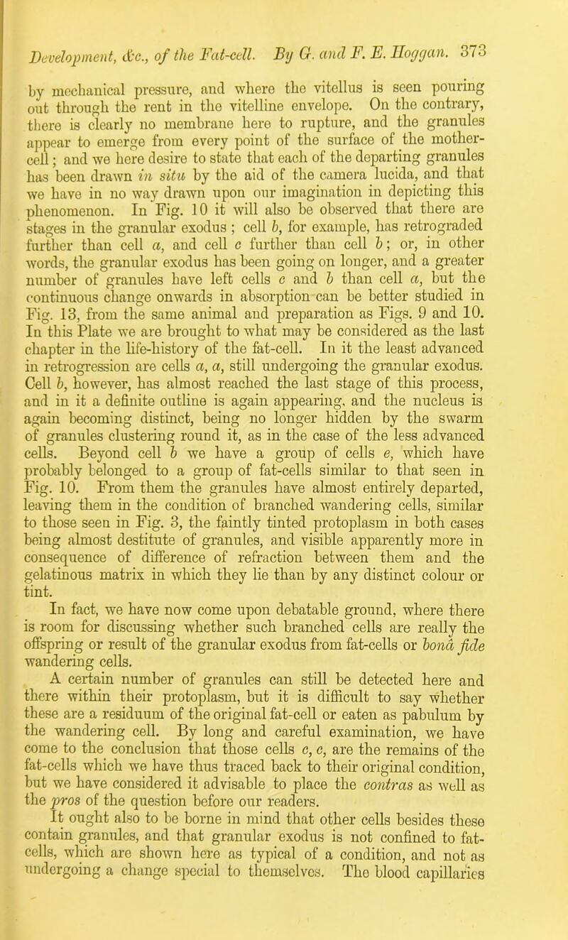 by mechanical pressure, and where the vitellus is seen pouring out through the rent in the vitelline envelope. On the contrary, there is clearly no membrane here to rupture, and the granules appear to emerge from every point of the surface of the mother- cell ; and we here desire to state that each of the departing granules has been drawn in situ, by the aid of the camera lucida, and that we have in no way drawn upon our imagination in depicting this phenomenon. In Fig. 10 it will also he observed that there are stages in the granular exodus ; cell b, for example, has retrograded further than cell a, and cell c further than cell b; or, in other Avords, the granular exodus has been going on longer, and a greater number of granules have left cells c and b than cell a, hut the continuous change onwards in absorption can be better studied in Fig. 13, from the same animal aud preparation as Figs. 9 and 10. In this Plate we are brought to what may be considered as the last chapter in the life-history of the fat-cell. In it the least advanced in retrogression are cells a, a, still undergoing the granular exodus. Cell b, however, has almost reached the last stage of this process, and in it a definite outline is again appearing, and the nucleus is again becoming distinct, being no longer hidden by the swarm of granules clustering round it, as in the case of the less advanced cells. Beyond cell b we have a group of cells e, which have probably belonged to a group of fat-cells similar to that seen in Fig. 10. From them the granules have almost entirely departed, leaving them in the condition of branched wandering cells, similar to those seen in Fig. 3, the faintly tinted protoplasm in both cases being almost destitute of granules, and visible apparently more in consequence of difference of refraction between them and the gelatinous matrix in which they lie than by any distinct colour or tint. In fact, we have now come upon debatable ground, where there is room for discussing whether such branched cells are really the offspring or result of the granular exodus from fat-cells or bond fide wandering cells. A certain number of granules can still be detected here and there within then- protoplasm, but it is difficult to say whether these are a residuum of the original fat-cell or eaten as pabulum by the wandering cell. By long and careful examination, Ave have come to the conclusion that those cells c, c, are the remains of the fat-cells which we have thus traced back to their original condition, but we have considered it advisable to place the contras as avcII as the pros of the question before our readers. It ought also to be borne in mind that other cells besides these contain granules, and that granular exodus is not confined to fat- cells, Avhich arc shown here as typical of a condition, and not as undergoing a change special to themselves. The blood capillaries