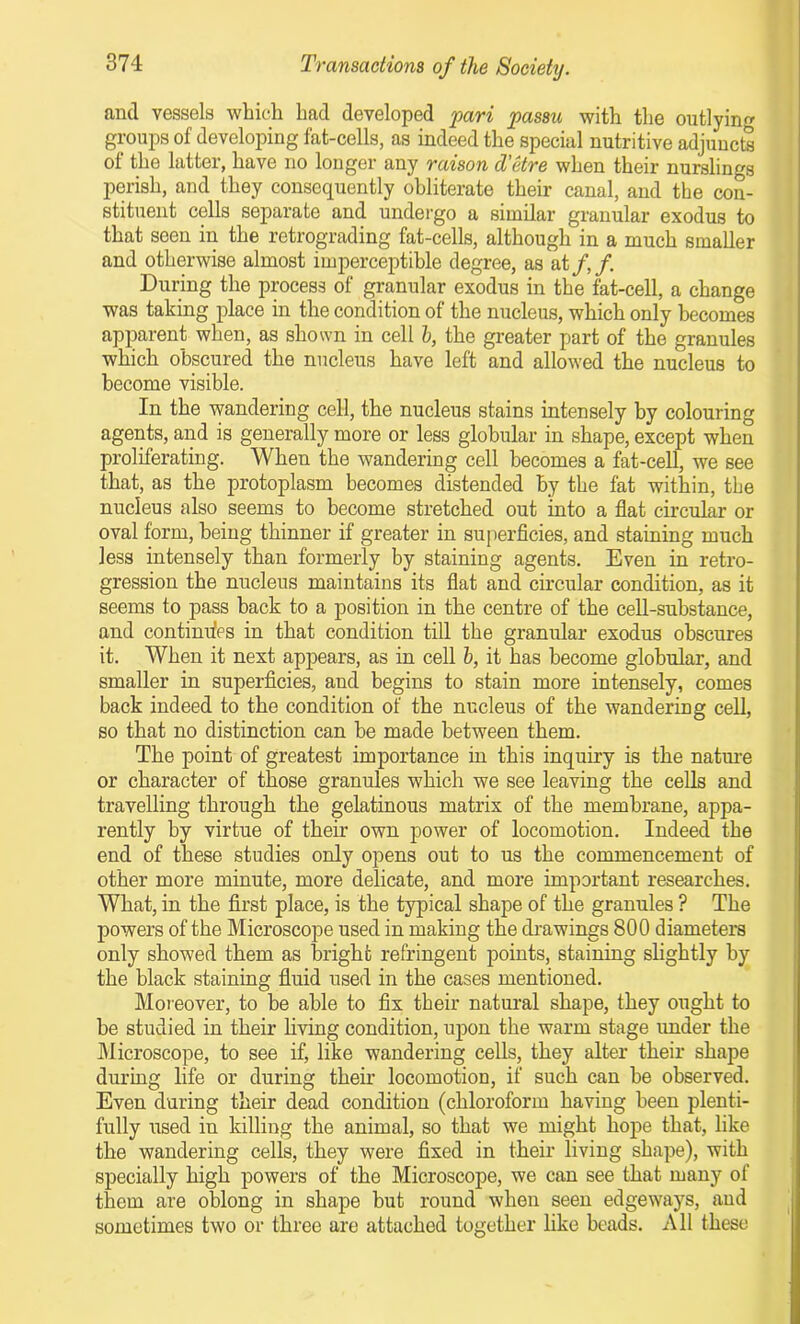 and vessels which had developed pari passu with the outlying groups of developing fat-cells, as indeed the special nutritive adjuncts of the latter, have no longer any raison d'etre when their nurslings perish, and they consequently obliterate their canal, and the con- stituent cells separate and undergo a similar granular exodus to that seen in the retrograding fat-cells, although in a much smaller and otherwise almost imperceptible degree, as at/,/. During the process of granular exodus in the fat-cell, a change was taking place in the condition of the nucleus, which only becomes apparent when, as shown in cell b, the greater part of the granules which obscured the nucleus have left and allowed the nucleus to become visible. In the wandering cell, the nucleus stains intensely by colouring agents, and is generally more or less globular in shape, except when proliferating. When the wandering cell becomes a fat-cell, we see that, as the protoplasm becomes distended by the fat within, the nucleus also seems to become stretched out into a flat circular or oval form, being thinner if greater in superficies, and staining much less intensely than formerly by staining agents. Even in retro- gression the nucleus maintains its flat and circular condition, as it seems to pass back to a position in the centre of the cell-substance, and continues in that condition till the granular exodus obscures it. When it next appears, as in cell b, it has become globular, and smaller in superficies, aud begins to stain more intensely, comes back indeed to the condition of the nucleus of the wandering cell, so that no distinction can be made between them. The point of greatest importance in this inquiry is the nature or character of those granules which we see leaving the cells and travelling through the gelatinous matrix of the membrane, appa- rently by virtue of their own power of locomotion. Indeed the end of these studies only opens out to us the commencement of other more minute, more delicate, and more important researches. What, in the first place, is the typical shape of the granules ? The powers of the Microscope used in making the drawings 800 diameters only showed them as bright refringent points, staining slightly by the black staining fluid used in the cases mentioned. Moreover, to be able to fix their natural shape, they ought to be studied in their living condition, upon the warm stage under the Microscope, to see if, like wandering cells, they alter their shape during life or during their locomotion, if such can be observed. Even during their dead condition (chloroform having been plenti- fully used in killing the animal, so that we might hope that, like the wandering cells, they were fixed in their living shape), with specially high powers of the Microscope, we can see that many of them are oblong in shape but round when seen edgeways, aud sometimes two or three are attached together like beads. All these