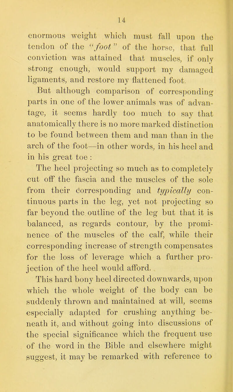 enormous weight which must fall upon the tendon of the “foot ” of the horse, that full conviction was attained that muscles, if only strong enough, would support my damaged ligaments, and restore my flattened foot. But although comparison of corresponding parts in one of the lower animals was of advan- tage, it seems hardly too much to say that anatomically there is no more marked distinction to be found between them and man than in the arch of the foot—in other words, in his heel and in his great toe : The heel projecting so much as to completely cut off the fascia and the muscles of the sole from their corresponding and typically con- tinuous parts in the leg, yet not projecting so far beyond the outline of the leg but that it is balanced, as regards contour, by the promi- nence of the muscles of the calf, while their corresponding increase of strength compensates for the loss of leverage which a further pro- jection of the heel would afford. This hard bony heel directed downwards, upon which the whole weight of the body can be suddenly thrown and maintained at will, seems especially adapted for crushing anything be- neath it, and without going into discussions of the special significance which the frequent use of the word in the Bible and elsewhere might suggest, it may be remarked with reference to