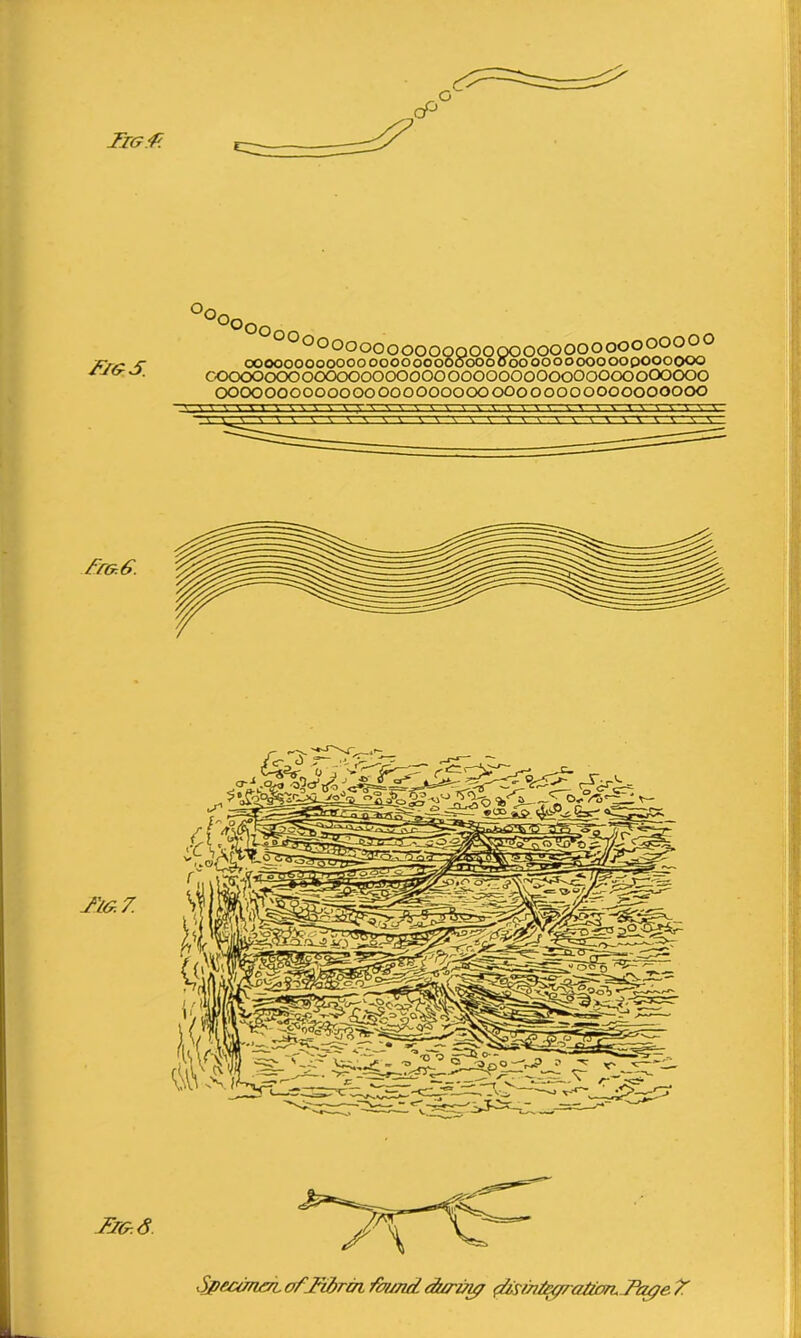 Tig T. Tigs. u0q 00OOOOOOOOOOQQOOQOOOOOOOOOOOOOOO cooooooooooooooooooooooooooooooooooopoooooo coooooooooooooooooooooooooooooooooooooooo ooooooooooooooooooooooooooooooooooooooo Tig. 6. Tig. 7. SpecGnm. ofTifirm fas/id durvyr Page 7 Fig. 6