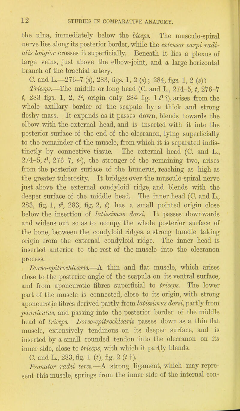 the ulna, immediately below the biceps. The musculo-spiral nerve lies along its posterior border, while the extensor carpi radi- alis longior crosses it superficially. Beneath it lies a plexus of large veins, just above the elbow-joint, and a large horizontal branch of the brachial artery. C. and L.—276-7 (s), 283, figs. 1, 2 (s); 284, figs. 1, 2 (s)? Triceps.—The middle or long head (C. and L., 274-5, t, 276-7 t, 283 figs. 1, 2, t2, origin only 284 fig. 111 ?), arises from the whole axillary border of the scapula by a thick and strong fleshy mass. It expands as it passes down, blends towards the elbow with the external head, and is inserted with it into the posterior surface of the end of the olecranon, lying superficially to the remainder of the muscle, from which it is separated indis- tinctly by connective tissue. The external head (C. and L., 274-5, t1, 276-7, tl), the stronger of the remaining two, arises from the posterior surface of the humerus, reaching as high as the greater tuberosity. It bridges over the musculo-spiral nerve just above the external condyloid ridge, and blends with the deeper surface of the middle head. The inner head (C. and L., 283, fig. 1, ts, 283, fig. 2, t) has a small pointed origin close below the insertion of latissimus dorsi. It passes downwards and widens out so as to occupy the whole posterior surface of the bone, between the condyloid ridges, a strong bundle taking origin from the external condyloid ridge. The inner head is inserted anterior to the rest of the muscle into the olecranon process. Dorso-epitrochlearis.—A thin and flat muscle, which arises close to the posterior angle of the scapula on its ventral surface, and from aponeurotic fibres superficial to triceps. The lower part of the muscle is connected, close to its origin, with strong- aponeurotic fibres derived partly from latissimus dorsi, partly from panniculus, and passing into the posterior border of the middle head of triceps. Dorso-epitrochlearis passes down as a thin flat muscle, extensively tendinous on its deeper surface, and is inserted by a small rounded tendon into the olecranon on its inner side, close to triceps, with which it partly blends. C. and L, 283, fig. 1 (*), fig. 2 (t t). Pronator radii teres.—A strong ligament, which may repre- sent this muscle, springs from the inner side of the internal con-