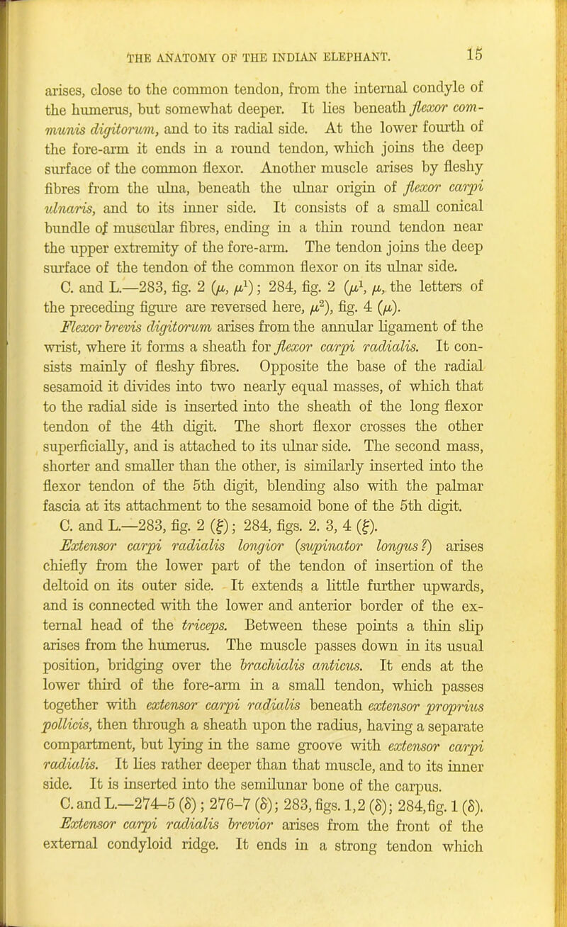 arises, close to the common tendon, from the internal condyle of the humerus, but somewhat deeper. It lies beneath flexor com- munis digitorum, and to its radial side. At the lower fourth of the fore-arm it ends in a round tendon, which joins the deep surface of the common flexor. Another muscle arises by fleshy fibres from the ulna, beneath the ulnar origin of flexor carpi ulnaris, and to its inner side. It consists of a small conical bundle of muscular fibres, ending in a thin round tendon near the upper extremity of the fore-arm. The tendon joins the deep surface of the tendon of the common flexor on its ulnar side. C. and L.—283, fig. 2 (jl, /a1) ; 284, fig. 2 (/a1, /a, the letters of the preceding figure are reversed here, /a2), fig. 4 (/a). Flexor b'evis digitorum arises from the annular ligament of the wrist, where it forms a sheath for flexor carpi radialis. It con- sists mainly of fleshy fibres. Opposite the base of the radial sesamoid it divides into two nearly equal masses, of which that to the radial side is inserted into the sheath of the long flexor tendon of the 4th digit. The short flexor crosses the other superficially, and is attached to its ulnar side. The second mass, shorter and smaller than the other, is similarly inserted into the flexor tendon of the 5th digit, blending also with the palmar fascia at its attachment to the sesamoid bone of the 5th digit. C. and L.—283, fig. 2 (£); 284, figs. 2. 3, 4 (f). Extensor carpi radialis longior (supinator longusT) arises chiefly from the lower part of the tendon of insertion of the deltoid on its outer side. It extends a little further upwards, and is connected with the lower and anterior border of the ex- ternal head of the triceps. Between these points a thin slip arises from the humerus. The muscle passes down in its usual position, bridging over the brachialis anticus. It ends at the lower third of the fore-arm in a small tendon, which passes together with extensor carpi radialis beneath extensor proprim pollicis, then through a sheath upon the radius, having a separate compartment, but lying in the same groove with extensor carpi radialis. It lies rather deeper than that muscle, and to its inner side. It is inserted into the semilunar bone of the carpus. C. and L.—274-5 (8); 276-7 (8); 283, figs. 1,2 (8); 284,fig. 1 (8). Extensor carpi radialis brevior arises from the front of the external condyloid ridge. It ends in a strong tendon which