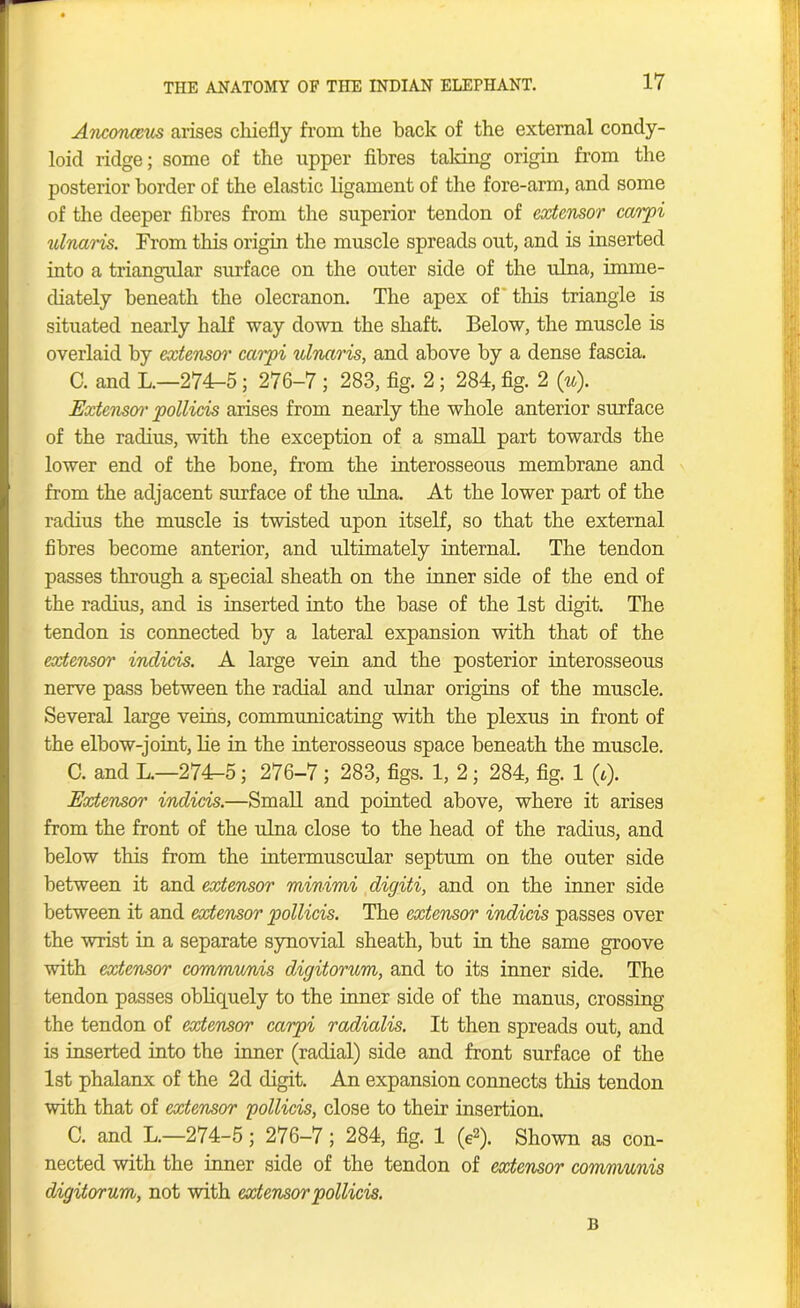 Anconams arises chiefly from the back of the external condy- loid ridge; some of the upper fibres talcing origin from the posterior border of the elastic ligament of the fore-arm, and some of the deeper fibres from the superior tendon of extensor carpi ulnaris. From this origin the muscle spreads out, and is inserted into a triangular surface on the outer side of the ulna, imme- diately beneath the olecranon. The apex of this triangle is situated nearly half way down the shaft. Below, the muscle is overlaid by extensoi' caipi ulnaris, and above by a dense fascia. C. and L.—274-5; 276-7 ; 283, fig. 2; 284, fig. 2 (u). Extensoi' pollicis arises from nearly the whole anterior surface of the radius, with the exception of a small part towards the lower end of the bone, from the interosseous membrane and from the adjacent surface of the ulna. At the lower part of the radius the muscle is twisted upon itself, so that the external fibres become anterior, and ultimately internal. The tendon passes through a special sheath on the inner side of the end of the radius, and is inserted into the base of the 1st digit. The tendon is connected by a lateral expansion with that of the extensor indicis. A large vein and the posterior interosseous nerve pass between the radial and ulnar origins of the muscle. Several large veins, communicating with the plexus in front of the elbow-joint, lie in the interosseous space beneath the muscle. C. and L.—274-5; 276-7 ; 283, figs. 1, 2; 284, fig. 1 (t). Extensoi* indicis.—Small and pointed above, where it arises from the front of the ulna close to the head of the radius, and below this from the intermuscular septum on the outer side between it and extensor minimi digiti, and on the inner side between it and extensor pollicis. The extensor indicis passes over the wrist in a separate synovial sheath, but in the same groove with extensor communis digitorum, and to its inner side. The tendon passes obliquely to the inner side of the manus, crossing the tendon of extensor carpi radialis. It then spreads out, and is inserted into the inner (radial) side and front surface of the 1st phalanx of the 2d digit. An expansion connects this tendon with that of extensor pollicis, close to their insertion. C. and L.—274-5; 276-7; 284, fig. 1 (e2). Shown as con- nected with the inner side of the tendon of extensor communis digitorum, not with extensor pollicis. B