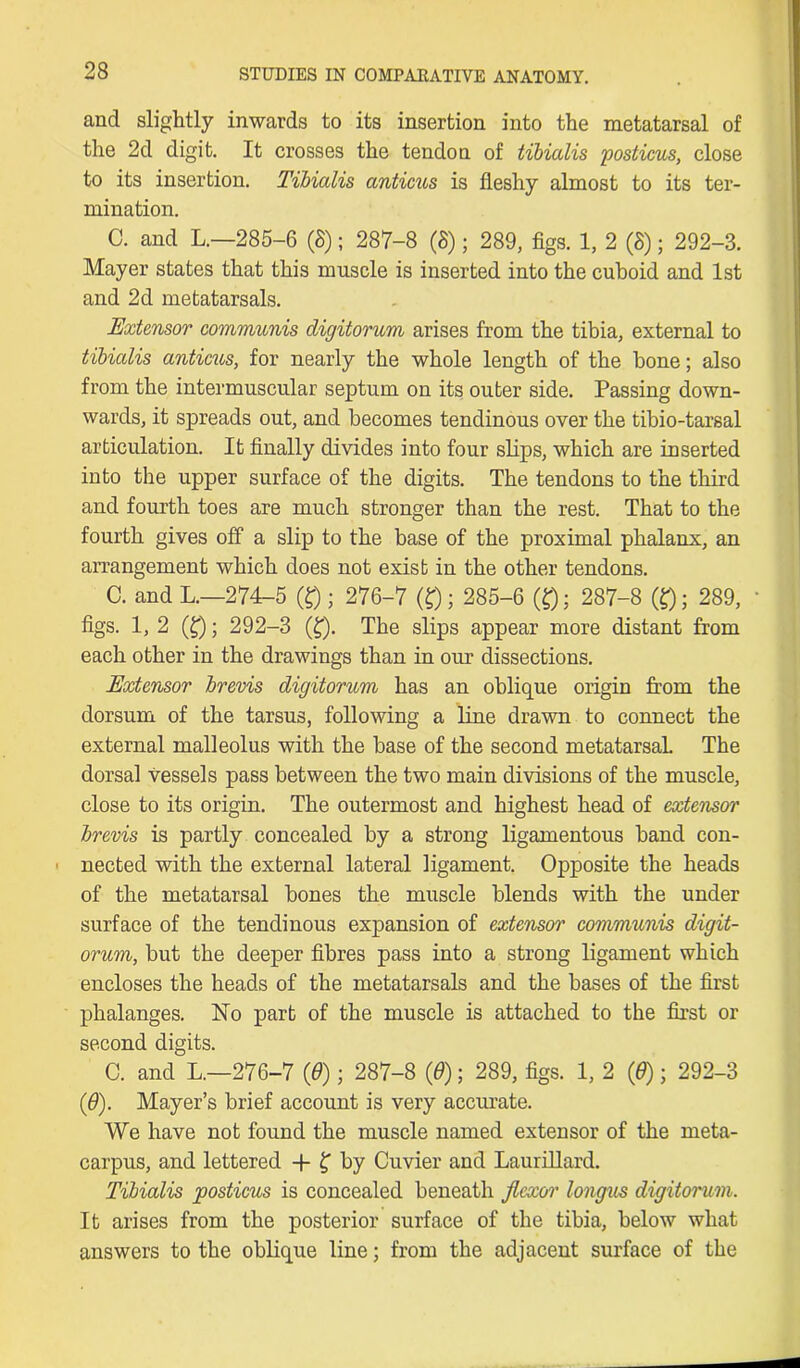 and slightly inwards to its insertion into the metatarsal of the 2d digit. It crosses the tendon of tibialis posticus, close to its insertion. Tibialis anticus is fleshy almost to its ter- mination. C. and L.—285-6 (8); 287-8 (8); 289, figs. 1, 2 (8); 292-3. Mayer states that this muscle is inserted into the cuboid and 1st and 2d metatarsals. Extensor communis digitorum arises from the tibia, external to tibialis anticus, for nearly the whole length of the bone; also from the intermuscular septum on its outer side. Passing down- wards, it spreads out, and becomes tendinous over the tibio-tarsal articulation. It finally divides into four slips, which are inserted into the upper surface of the digits. The tendons to the third and fourth toes are much stronger than the rest. That to the fourth gives off a slip to the base of the proximal phalanx, an arrangement which does not exist in the other tendons. C. and L.—274-5 (Q; 276-7 (£); 285-6 (Q: 287-8 (£); 289, figs. 1, 2 (£); 292-3 (£). The slips appear more distant from each other in the drawings than in our dissections. Extensor brevis digitorum has an oblique origin from the dorsum of the tarsus, following a line drawn to connect the external malleolus with the base of the second metatarsal. The dorsal vessels pass between the two main divisions of the muscle, close to its origin. The outermost and highest head of extensor brevis is partly concealed by a strong ligamentous band con- nected with the external lateral ligament. Opposite the heads of the metatarsal bones the muscle blends with the under surface of the tendinous expansion of extensor communis digit- orum, but the deeper fibres pass into a strong ligament which encloses the heads of the metatarsals and the bases of the first phalanges. ISTo part of the muscle is attached to the first or second digits. C. and L.—276-7 (6); 287-8 (0); 289, figs. 1, 2 (0); 292-3 (0). Mayer’s brief account is very accurate. We have not found the muscle named extensor of the meta- carpus, and lettered + £ by Cuvier and Laurillard. Tibialis posticus is concealed beneath flexor longus digitorum. It arises from the posterior surface of the tibia, below what answers to the oblique line; from the adjacent surface of the