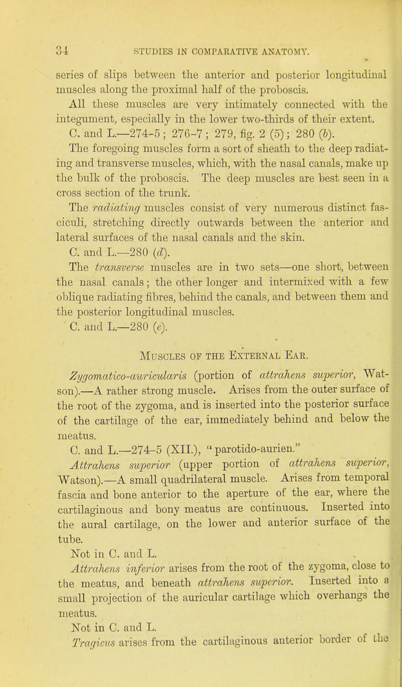 series of slips between the anterior and posterior longitudinal muscles along the proximal half of the proboscis. All these muscles are very intimately connected with the integument, especially in the lower two-thirds of their extent. C. and L.—274-5 ; 276-7 ; 279, fig. 2 (5); 280 (6). The foregoing muscles form a sort of sheath to the deep radiat- ing and transverse muscles, which, with the nasal canals, make up the bulk of the proboscis. The deep muscles are best seen in a cross section of the trunk. The radiating muscles consist of very numerous distinct fas- ciculi, stretching directly outwards between the anterior and lateral surfaces of the nasal canals and the skin. C. and L.—280 (d). The transverse muscles are in two sets—one short, between the nasal canals; the other longer and intermixed with a few oblique radiating fibres, behind the canals, and between them and the posterior longitudinal muscles. ' C. and L.—280 («). Muscles of the External Ear. Zygomatico-auricularis (portion of attrahens superior, Wat- son).—A rather strong muscle. Arises from the outer surface of the root of the zygoma, and is inserted into the posterior surface of the cartilage of the ear, immediately behind and below the meatus. C. and L.—274-5 (XII.), “ parotido-aurien.” Attraliens superior (upper portion of attrahens superior, Watson).—A small quadrilateral muscle. Arises from temporal fascia and bone anterior to the aperture of the ear, where the cartilaginous and bony meatus are continuous. Inserted into the aural cartilage, on the lower and anterior surface of the tube. Not in C. and L. Attrahens inferior arises from the root of the zygoma, close to the meatus, and beneath attrahens superior. Inserted into a small projection of the auricular cartilage which overhangs the meatus. Not in C. and L. Tragicus arises from the cartilaginous anterior border of ihe