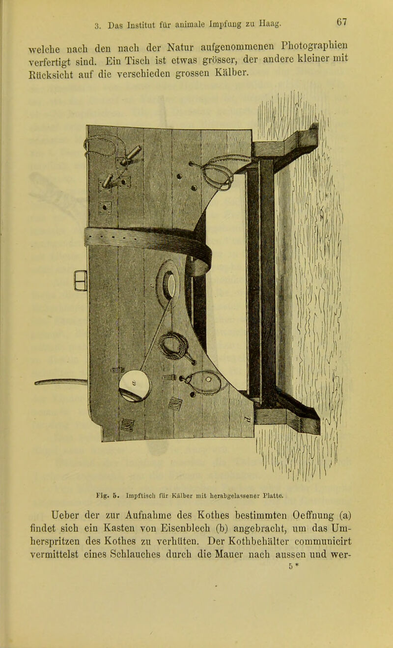 welche nach den nach der Natur aufgenommenen Photographien verfertigt sind. Ein Tisch ist etwas grösser, der andere kleiner mit Rücksicht auf die verschieden grossen Kälber. Fig. 5. Irnpftiscli für Kälter mit heratgelassener Platte. Ueber der zur Aufnahme des Kothes bestimmten Oeffnung (a) findet sich ein Kasten von Eisenblech (b) angebracht, um das Um- herspritzen des Kothes zu verhüten. Der Kothbehälter communicirt vermittelst eines Schlauches durch die Mauer nach aussen und wer- 5 *