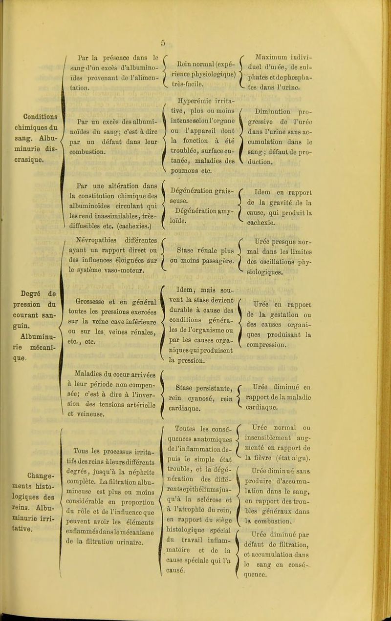 Conditions chimiques du sang. Albu- minurie dis- crasique. Degré de pression du courant san- guin. Albuminu- rie mécani- que. Change- ments histo- logiques des reins. Albu- minurie irri- tative. l’ar la présence dans le sang d’un oxcès d'albumino- ïdes provenant de l'alimen- tation. Par un excès des albumi- noïdes du sang; c’est àdiro par un défaut dans leur combustion. Par uno altération dans la constitution chimique des albuminoïdes circulant qui les rend inassimilables, très- diffusibles otc. (cachexies.) Névropathies différentes ayant un rapport direct ou des influences éloignées sur le système vaso-moteur. Grossesso et en général toutes les pressions exercées sur la veine cave inférieure ou sur les veines rénales, etc., etc. Maladies du coeur arrivées a leur période non compen- sée; c’est à dire à l’inver- sion des tensions artérielle et veineuse. Tous les processus irrita- tifs des reins àleurs différents degrés, jusqu'à la néphrite complète. La filtration albu- mineuse est plus ou moins considérable en proportion du rôle et de l’influence que peuvent avoir les éléments enflammés dans lo mécanisme do la filtration urinaire. Rein normal (expé- rience physiologique) très-facile. iïyporémio irrita- tive, plus ou moins intense solon l’organe ou l’appareil dont la fonction à été troubléo, surfaco cu- tanée, maladies des poumons etc. Dégénération grais- seuse. Dégénération amy- loïde. Stase rénale plus ou moins passagère. Idem, mais sou- vent la stase devient durable à cause des conditions généra- les de l’organisme ou par les causes orga- niques qui produisent la pression. Stase persistante rein cyanosé, rein cardiaque. f l Toutes les consé- quences anatomiques de l’inflammation de- puis le simple état trouble, et la dégé- nération des diffé- rontsepithéliumsjus- qu’à la sclérose et à l’atrophie du rein, en rapport du siège histologique spécial du travail intlarn- matoire et do la causo spéciale qui l’a causé. Maximum indivi- duel d’uiéo, de sul- phates otdcphospha- tes dans l’urino. Diminution pro- gressive de l’urée dans l’urino sans ac- cumulation dans le sang ; défaut de pro- duction. Idem en rapport de la gravité de la cause, qui produit la cachexie. Urée presque nor- mal dans les limites des oscillations phy- siologiques. Urée en rapport de lai gestation ou des causes organi- ques produisant la compression. Urée diminué en rapport de la maladio cardiaque. Urée normal ou insensiblement aug- menté en rapport do la fièvre (état a'gu). Urée diminué, sans produire d’accumu- lation dans le sang, en rapport des trou- bles généraux dans la combustion. Urée diminué par défaut do filtration, et accumulation dans lo sang on consé- quence.