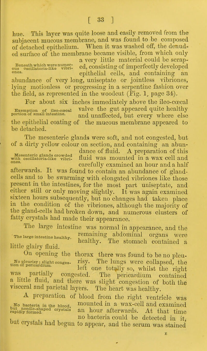 hue. This layer was quite loose and easily removed from the subjacent mucous membrane, and was found to be composed of detached epithelium. When it was washed off, the denud- ed surface of the membrane became visible, from which only a very little material could be scrap- o^senSscu^orfa^fkenTberi‘- ed, consisting of imperfectly developed ones- epithelial cells, and containing an abundance of very long, uniseptate or jointless vibriones, lying motionless or progressing in a serpentine fashion over the field, as represented in the woodcut (Tig. 1, page 3d). Tor about six inches immediately above the ileo-coecal Exemption of iieo.-eoecai valve the gut appeared quite healthy portion of sman mtestme. and unaffected, but every where else the epithelial coating of the mucous membrane appeared to be detached. The mesenteric glands were soft, and not congested, but of a dirty yellow colour on section, and containing an abun- ♦ dance of fluid. A preparation of this Mesenteric glands crowded ra'i , • n , with, oscillatoria-like vibri- flUlCl Was mounted 111 a WUX Ceil and carefully examined an hour and a half afterwards. It was found to contain an abundance of gland- cells and to be swarming with elongated vibriones like those present in the intestines, for the most part uniseptate, and either still or only moving slightly. It was again examined sixteen hours subsequently, but no changes had taken place in the condition of the vibriones, although the majority of the gland-cells had broken down, and numerous clusters of fatty crystals had made their appearance. The large intestine was normal in appearance, and the remaining abdominal organs were healthy. The stomach contained a The large intestine healthy. little glairy fluid. On opening the No pleurisy; slight conges tion of pericardium. thorax there was found to be no pleu- risy. The lungs were collapsed, the left one totally so, whilst the right was partially congested. The pericardium contained a, little fluid, and there was slight congestion of both the visceral and parietal layers. The heart was healthy. A preparation of blood from the right ventricle was No bacteria in the blood niounted in a wax-cell and examined raUpidfyeformedaped crystai* an hour afterwards. At that time , no bacteria could be detected in it, but crystals had begun to appear, and the serum was stained E