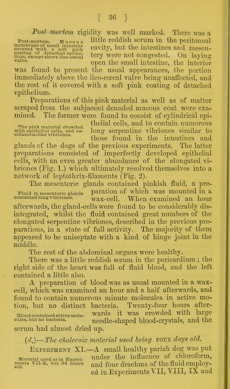 [ 30 ] Post-mortem rigidity was well marked. There was a Post-mortem. Mucou s little reddish serum in the peritoneal ^veiled11,wfth8™*11 so^ft1 e pink cavity, but the intestines and mesen- liiim,nexeept above^fieo-ccc^cai tery were not congested. On laying valve> open the small intestine, the interior was found to present the usual appearances, the portion immediately above the ileo-coecal valve being unaffected, and the rest of it covered with a soft pink coating of detached epithelium. Preparations of this pink material as well as of matter scraped from the subjacent denuded mucous coat were exa- mined. The former were found to consist of cylindrical epi- . , . „ „ thelial cells, and to contain numerous The pink material crowded . .. ... .. . with epithelial ceils, and os- long serpentine VLbnones similar to cillatoria-like vibriones. ., ° „ ■*- , .... . those found m the intestines and glands of the dogs of the previous experiments. The latter preparations consisted of imperfectly developed epithelial cells, with an even greater abundance of the elongated vi- briones (Pig. 1.) which ultimately resolved themselves into a network of leptotlirix-filaments (Pig. 2). The mesenteric glands contained pinkish fluid, a pre- Fiuid in mesenteric glands paration of which was mounted in a contained long vibriones. wax-cell. When examined an hour afterwards, the gland-cells were found to be considerably dis- integrated, whilst the fluid contained great numbers of the elongated serpentine vibriones, described in the previous pre- parations, in a state of full activity. The majority of them appeared to be uniseptate with a kind of hinge joint in the middle. The rest of the abdominal organs were healthy. There was a little reddish serum in the pericardium; the right side of the heart was full of fluid blood, and the left contained a little also. A preparation of blood was as usual mounted in a wax- cell, which was examined an hour and a half afterwards, and found to contain numerous minute molecules in active mo- tion, but no distinct bacteria. Twenty-four hours after- Blood contained active mole- Wards it WUS Crowded with large cuies, but no bacteria. needle-shaped blood-crystals, and the serum had almost dried up. (cl,)—The choleraic material used being four days old. Experiment XI.—A small healthy pariah dog was put tvt * • , , * under the influence of chloroform, Material used as in Expert- Lluuvi -1-L‘ ’ ments vii-x, but oo hours ant[ four drachms of the fluid employ- ed iu Experiments VII, A III, IX and