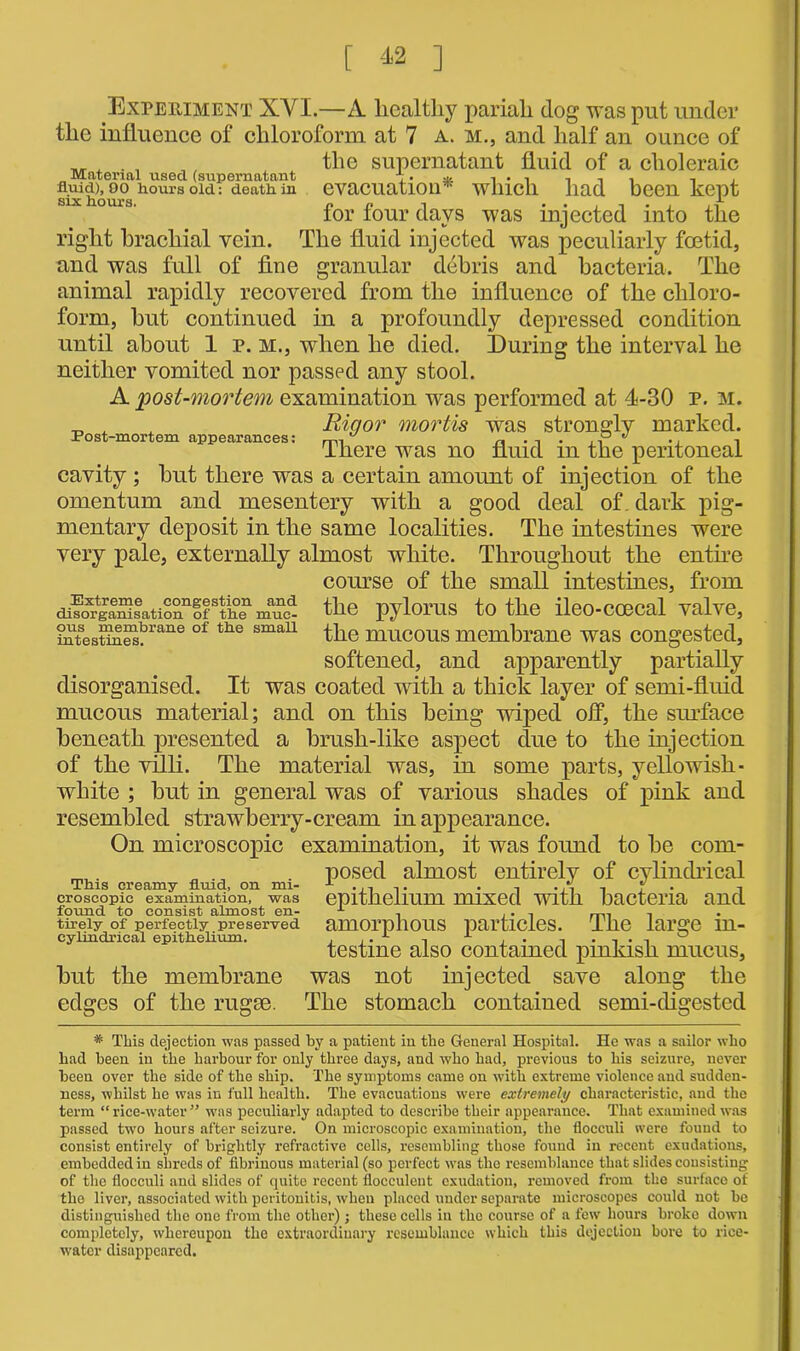 [ -A2 ] Experiment XYI.—A healthy pariah clog was put under the influence of chloroform at 7 a. m., and half an ounce of __ x , , the supernatant fluid of a choleraic fluid), oo hours old: deatii in evacuation* winch liad been kept six hours. ~ x right brachial vein, and was full of fine granular for four days was injected into the The fluid injected was peculiarly foetid, debris and bacteria. The animal rapidly recovered from the influence of the chloro- form, hut continued in a profoundly depressed condition until about 1 p. m., when he died. During the interval he neither vomited nor passed any stool. A post-mortem examination was performed at 4-30 p. m. „ x Rigor mortis was strongly marked. Post-mortem appearances: ,, . , . ,-P'J ., 1 There was no fluid m the peritoneal cavity ; hut there was a certain amount of injection of the omentum and mesentery with a good deal of. dark pig- mentary deposit in the same localities. The intestines were very pale, externally almost white. Throughout the entire course of the small intestines, from the pylorus to the ileo-coecal valve, the mucous membrane was congested, softened, and apparently partially disorganised. It was coated with a thick layer of semi-fluid mucous material; and on this being wiped off, the surface beneath presented a brush-like aspect due to the injection of the villi. The material was, in some parts, yellowish- white ; but in general was of various shades of pink and resembled strawberry-cream in appearance. On microscopic examination, it was found to be com- posed almost entirely of cylindrical epithelium mixed with bacteria and amorphous particles. The large in- testine also contained pinkish mucus, was not injected save along the Extreme congestion and disorganisation of the muc- ous membrane of the small intestines. This creamy fluid, on mi- croscopic examination, was found to consist almost en- tirely of perfectly preserved cylindrical epithelium. but the membrane edges of the rugae. The stomach contained semi-digested * This dejection was passed by a patient in the General Hospital. He was a sailor who had been in the harbour for only three days, and who had, previous to his seizure, never been over the side of the ship. The symptoms came on with extreme violence and sudden- ness, whilst he was in full health. The evacuations were extremely characteristic, and the term “rice-water” was peculiarly adapted to describe their appearance. That examined was passed two hours after seizure. On microscopic examination, the flocculi were found to consist entirely of brightly refractive cells, resembling those found in recent exudations, embedded in shreds of fibrinous material (so perfect was the resemblance that slides consisting of the flocculi and slides of quite recent fiocculent exudation, removed from the surface of the liver, associated with peritonitis, when placed under separate microscopes could not be distinguished the one from the other); these cells in the course of a few hours broke down completely, whereupon the extraordinary resemblance which this dejection bore to rice- water disappeared.