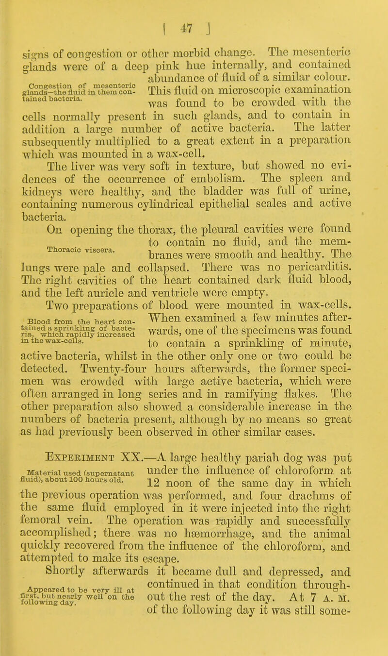 Congestion of mesenteric glands—the fluid in them con- tained bacteria. signs of congestion or otlier morbid change. The mesenteric glands were of a deep pink hue internally, and contained abundance of fluid of a similar colour. This fluid on microscopic examination w7as found to be crowded writh the cells normally present in such glands, and to contain in addition a large number of active bacteria. The latter subsequently multiplied to a great extent in a preparation which was mounted in a wax-cell. The liver was very soft in texture, but showed no evi- dences of the occurrence of embolism. The spleen and kidneys were healthy, and the bladder was full of urine, containing numerous cylindrical epithelial scales and active bacteria. On opening the thorax, the pleural cavities were found to contain no fluid, and the mem- branes were smooth and healthy. The lungs were pale and collapsed. There was no pericarditis. The right cavities of the heart contained dark fluid blood, and the left auricle and ventricle were empty. Two preparations of blood were mounted in wax-cells. Blood from the heart con- When examined a few minutes after- rfa!lewwc^apidi! increased wards, one of the specimens was found m the wax-ceiis. to contam a sprinkling of minute, active bacteria, whilst in the other only one or two could be detected. Twenty-four hours afterwards, the former speci- men was crowded with large active bacteria, which were often arranged in long series and in ramifying flakes. The other preparation also showed a considerable increase in the numbers of bacteria present, although by no means so great as had previously been observed in other similar cases. Thoracic viscera. Experiment XX.—A large healthy pariah dog was put Material used (supernatant under the influence of chloroform at fluid), about 100 hours old. 12 noon of the same day in which the previous operation was performed, and four drachms of the same fluid employed in it were injected into the right femoral vein. The operation was rapidly and successfully accomplished; there was no haemorrhage, and the animal quickly recovered from the influence of the chloroform, and attempted to make its escape. Shortly afterwards it became dull and depressed, and .. , , continued in that condition through- Appearedtobe very ill at , . „ ... - . , _ & foliowinVclayly WeU °n the °U^ ^1C r<3S': °* ^*1G day. At 7 A. M. of the following day it was still some-