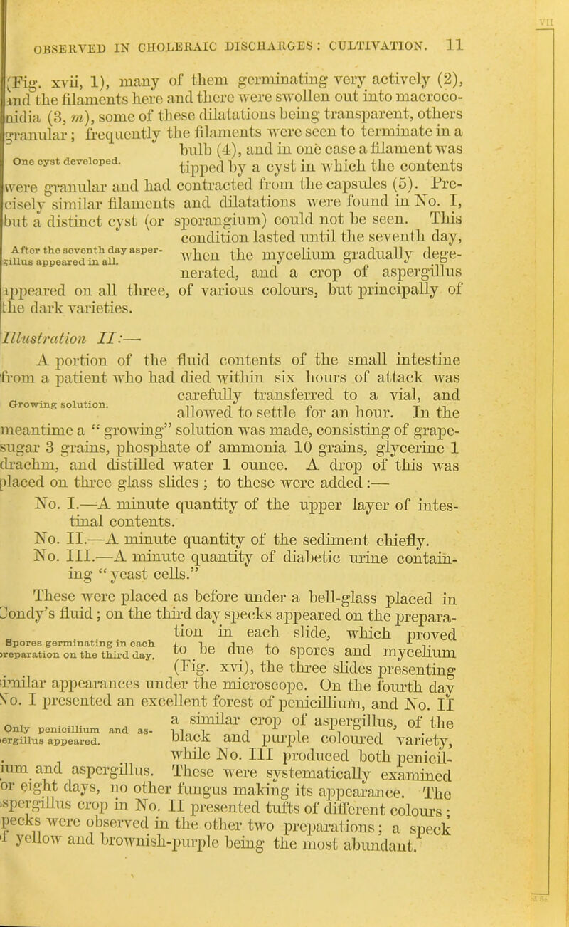 'Fig. xvii, 1), many of them germinating very actively (2), oid the filaments here and there were swollen out into macroco- aidia (3, m), some of these dilatations being transparent, others o-ramilar; frequently the filaments were seen to terminate in a bull) (4), and in one case a filament was tipped by a cyst in which the contents were granular and had contracted from the capsules (5). Pre- cisely similar filaments and dilatations were found in No. I, but a distinct cyst (or sporangium) could not he seen. This condition lasted until the seventh day, ?muTaSe^d^hawyasper' rlien the mycelium gradually dege- nerated, and a crop of aspergillus appeared on all three, of various colours, but principally of the dark varieties. Illustration II:— A portion of the fluid contents of the small intestine from a patient who had died within six hours of attack was carefully transferred to a vial, and Growing solution. iiin i T ,, allowed to settle ior an hour, in the meantime a “ growing” solution was made, consisting of grape- sugar 3 grains, phosphate of ammonia 10 grains, glycerine 1 drachm, and distilled water 1 ounce. A drop of this was placed on three glass slides ; to these were added:— No. I.—A minute quantity of the upper layer of intes- tinal contents. No. II.—A minute quantity of the sediment chiefly. No. III.—A minute quantity of diabetic mine contain- ing “ yeast cells.” These were placed as before under a bell-glass placed in iondy’s fluid; on the third day specks appeared on the prepara- tion in each slide, which proved to . he due to spores and mycelium (Pig- xvi), the three slides presenting similar appearances under the microscope. On the fourth day Nfr. I presented an excellent forest of penicillium, and No. II a similar crop of aspergillus, of the black and purple coloured variety, while No. Ill produced both penicil- mm and aspergillus. These were systematically examined or eight days, no other fungus making its appearance. The aspergillus crop in No; II presented tufts of different colours ; pecks were observed in the other two preparations; a speck a yellow and brownish-purple being the most abundant. Spores germinating in each, reparation on the third day. Only penicillium and as- ergillus appeared.