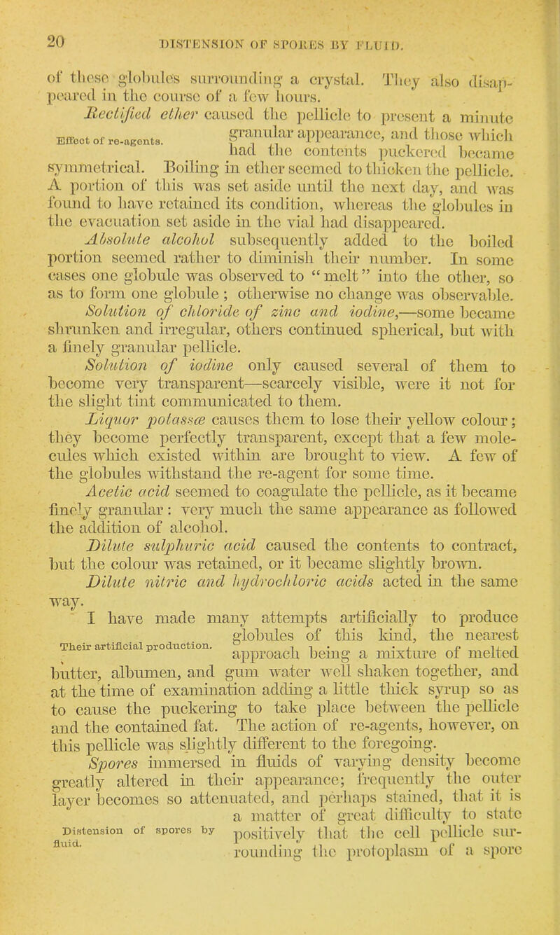 DISTENSION OP SroltES BY FLUID. of these globules surrounding a crystal. They also disap- peared iu the course of a few hours. Rectified ether caused the pellicle to present a minute Effect or re-eget,. granular appearance, and those which bad. the contents puckered became symmetrical. Boiling in ether seemed to thicken the pellicle. A portion of this was set aside until the next day, and was found to have retained its condition, whereas the globules iu the evacuation set aside in the vial had disappeared. Absolute alcohol subsequently added to the boiled portion seemed rather to diminish then* number. In some cases one globule was observed to “ melt ” into the other, so as to form one globule ; otherwise no change was observable. Solution of chloride of zinc and iodine,—some became shrunken and irregular, others continued spherical, but with a finely granular pellicle. Solution of iodine only caused several of them to become very transparent—scarcely visible, were it not for the slight tint communicated to them. Liquor potassce causes them to lose tlieir yellow colour; they become perfectly transparent, except that a few mole- cules which existed within are brought to view. A few of the globules withstand the re-agent for some time. Acetic acid seemed to coagulate the pellicle, as it became finely granular : very much the same appearance as followed the addition of alcohol. Dilute sulphuric acid caused the contents to contract, but the colour was retained, or it became slightly brown. Dilute nitric and hydrochloric acids acted in the same way. I have made many attempts artificially to produce globules of this kind, the nearest Tlieir artificial production. ° . , n 1 j i approach being a mixture ol melted butter, albumen, and gum water well shaken together, and at the time of examination adding a little thick syrup so as to cause the puckering to take place between the pellicle and the contained fat. The action of re-agents, however, on this pellicle was slightly different to the foregoing. Spores immersed in fluids of varying density become greatly altered in tlieir appearance; frequently the outer layer becomes so attenuated, and perhaps stained, that it is a matter of great difficulty to state Distension of spores by positively that tll'e Cell pellicle SUT- fLtlld’ rounding the protoplasm of a spore