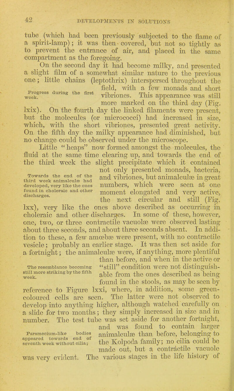 tube (which had been previously subjected to the flame of a spirit-lamp); it was then - covered, but not so tightly as to prevent the entrance of air, and placed in the same compartment as the foregoing. On the second day it had become milky, and presented a slight film of a somewhat similar nature to the previous one; little chains (leptothrix) interspersed throughout the field, with a few monads and short weekfress durmg tlie first vibriones. This appearance was still more marked on the third day (Fig. Ixix). On the fourth day the linked filaments were present, but the molecules (or micrococci) had increased in size, which, with the short vibriones, presented great activity. On the fifth day the milky appearance had diminished, but no change could be observed under the microscope. Little “heaps” now formed amongst the molecules, the fluid at the same time clearing up, and towards the end of the third week the slight precipitate which it contained not only presented monads, bacteria, and vibriones, but animalculse in great numbers, which were seen at one moment elongated and very active, the next circular and still (Fig. lxx), very like the ones above described as occurring in choleraic and other discharges. In some of these, however, one, two, or three contractile vacuolse were observed lasting about three seconds, and about three seconds absent. In addi- tion to these, a few amoebae were present, with no contractile vesicle; probably an earlier stage. It was then set aside for a fortnight; the animalculse were, if anything, more plentiful than before, and when in the active or The resemblance becoming “still” condition were not distinguish- able from the ones described as being found in the stools, as may be seen by reference to Figure lxxi, where, in addition, some green- coloured cells are seen. The latter were not observed to develop into anything higher, although watched carefully on a slide for two months; they simply increased in size and in number. The test tube was set aside for another fortnight, and was found to contain larger animalculse than before, belonging to the Kolpoda family; no cilia could be made out, but a contractile vacuole was very evident. The various stages in the life history of Towards the end of the third week animalculse had developed, very like the ones found in choleraic and other discharges. still more striking by the fifth week. Paramecium-like bodies appeared towards end of seventh week without cilia;