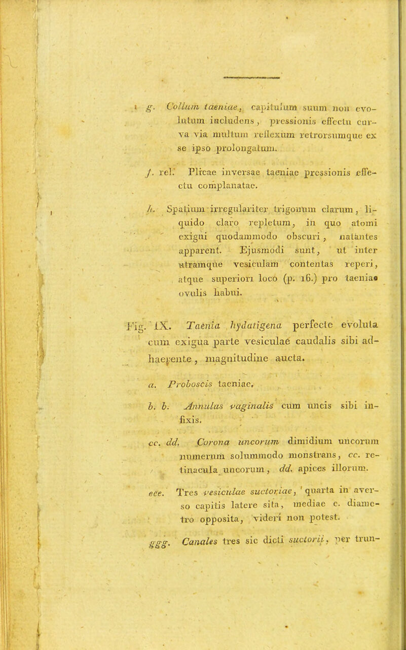 » s- Colium taeniae, capitulum suum non evo- latum includens , pressionis effectu cur- va via multum rcilcxiun retrorsumque ex se ipso prolongatum. /. rei.' Plicae inversae taeniae pressionis effe- ctu complanatae. h. Spatium :irrcgulariter trigonum clarum, li- quido claro repletum, in quo atomi exigui quodammodo obscuri , natantes appai’ent. Ejusmodi sunt, ut inter utramque vesiculam contentas reperi, atque superiori loco (p. 16.) pro taeniae ovulis liabui. 'ig. IX. Taenia hydatigena perfecte evoluta cum exigua parte vesiculae caudalis sibi ad- ■ haerente , magnitudine aucta. v 1 * a. Proboscis taeniae» i b. b. Annulus vaginalis cum uncis sibi in- fixis. i . -• j ‘ ce. dd. Corona uncorum dimidium uncorum numerum solummodo monstrans, ce. re- tinacula uncorum, dd. apices illorum. ece. Tres vesiculae sucloriae, quarta in aver- so capitis latere sita, mediae c. diame- tro opposita, videri non potest. /jo-or. Canales tres sic dicti sudor ii, per trun- «b O Q