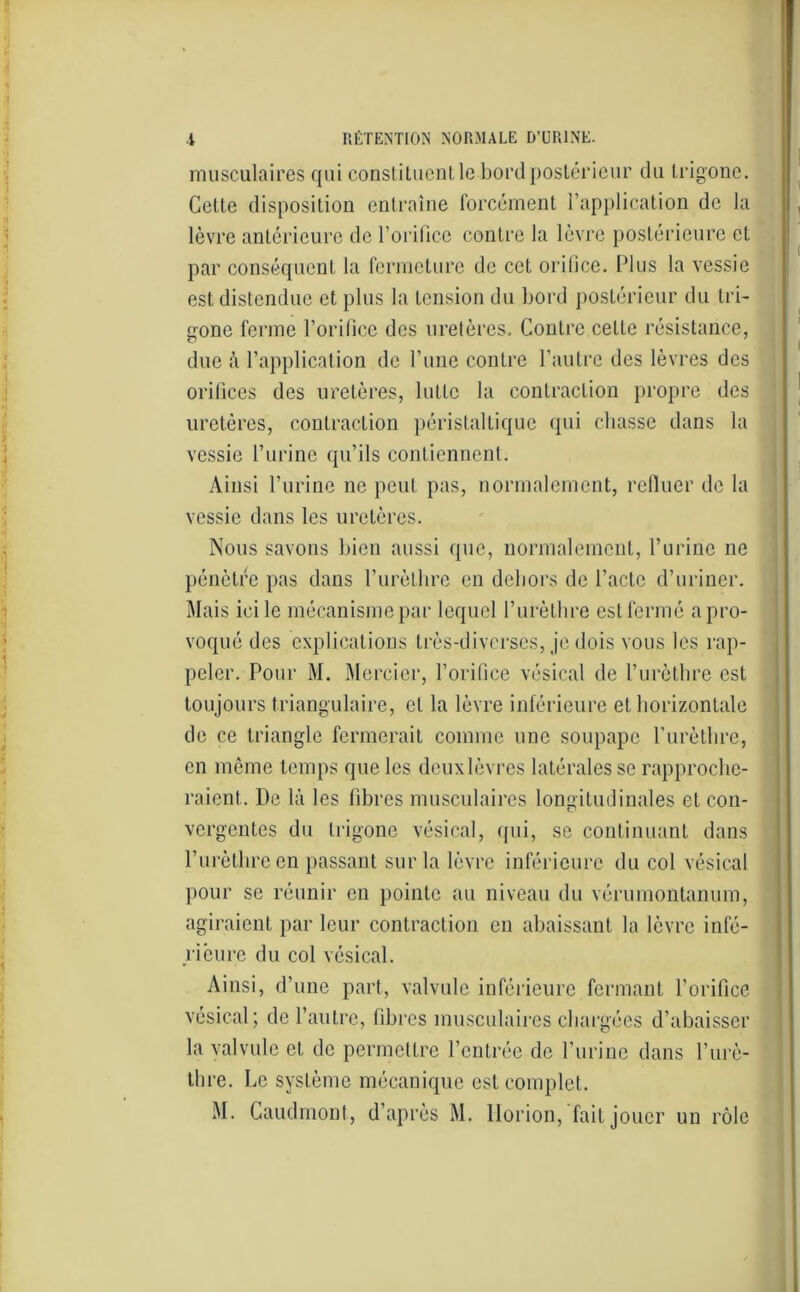 musculaires qui constituent le bord postérieur du trigone. Cette disposition entraîne forcément l’application de la lèvre antérieure de l’orifice contre la lèvre postérieure et par conséquent la fermeture de cet orifice. Plus la vessie est distendue et plus la tension du bord postérieur du tri- gone ferme l’orifice des uretères. Contre cette résistance, due à l’application de l’une contre l’autre des lèvres des orifices des uretères, lutte la contraction propre des uretères, contraction péristaltique qui cbasse dans la vessie l’urine qu’ils contiennent. Ainsi l’urine ne peut pas, normalement, refluer de la vessie dans les uretères. Nous savons bien aussi que, normalement, l’urine ne pénètre pas dans l’urèthre en dehors de l’acte d’uriner. Mais ici le mécanisme par lequel l’urèthre est fermé a pro- voqué des explications très-diverses, je dois vous les rap- peler. Pour M. Mercier, l’orifice vésical de l’urèthre est toujours triangulaire, et la lèvre inférieure et horizontale de ce triangle fermerait comme une soupape l’urèthre, en même temps que les deuxlèvres latérales se rapproche- raient. De là les fibres musculaires longitudinales et con- vergentes du trigone vésical, qui, se continuant dans l’urèthre en passant sur la lèvre inférieure du col vésical pour se réunir en pointe au niveau du vérumontanum, agiraient par leur contraction en abaissant la lèvre infé- rieure du col vésical. Ainsi, d’une part, valvule inférieure fermant l’orifice vésical; de l’autre, fibres musculaires chargées d’abaisser la valvule et de permettre l’entrée de l’urine dans l’urè- thre. Le système mécanique est complet. M. Caudmont, d’après M. Horion, fait jouer un rôle