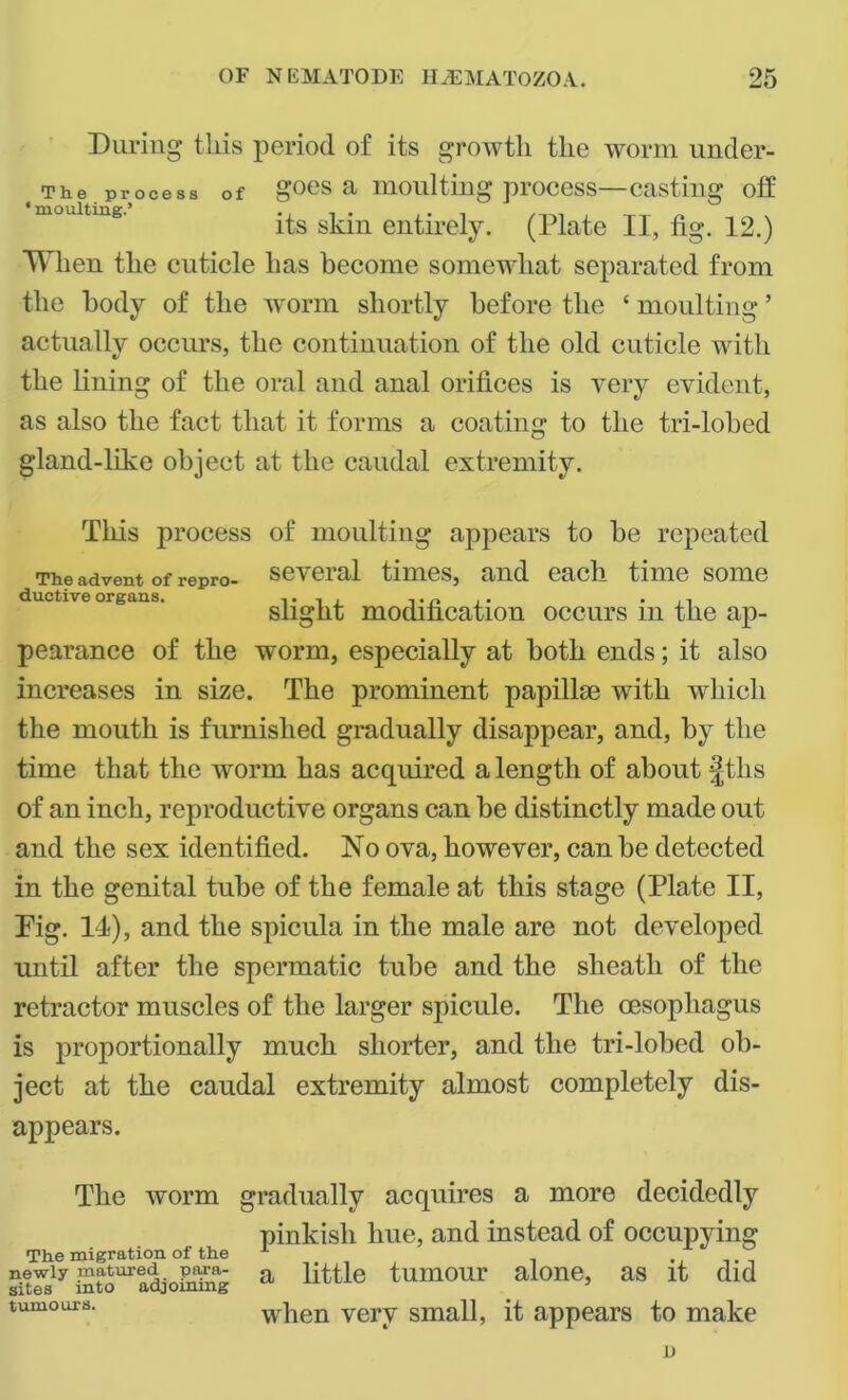 During this period of its growth the worm under- § The. process of goes a moulting process—casting off its skin entirely. (Plate II, tig. 12.) When the cuticle has become somewhat separated from the body of the worm shortly before the ‘ moulting ’ actually occurs, the continuation of the old cuticle with the lining of the oral and anal orifices is very evident, as also the fact that it forms a coating to the tri-lobed gland-like object at the caudal extremity. This process of moulting appears to be repeated The advent of repro- several times, and each time some duetive organs. ,.n .. . . slight modification occurs m the ap- pearance of the worm, especially at both ends; it also increases in size. The prominent papillae with which the mouth is furnished gradually disappear, and, by the time that the worm has acquired a length of about |ths of an inch, reproductive organs can be distinctly made out and the sex identified. No ova, however, can be detected in the genital tube of the female at this stage (Plate II, Fig. 14), and the spicula in the male are not developed until after the spermatic tube and the sheath of the retractor muscles of the larger spicule. The oesophagus is proportionally much shorter, and the tri-lobed ob- ject at the caudal extremity almost completely dis- appears. The worm gradually acquires a more decidedly pinkish hue, and instead of occupying The migration of the ...... newly matured, para- a p^tle tumOUr alone, as it did sites mto adjoining tumours. when very small, it appears to make a