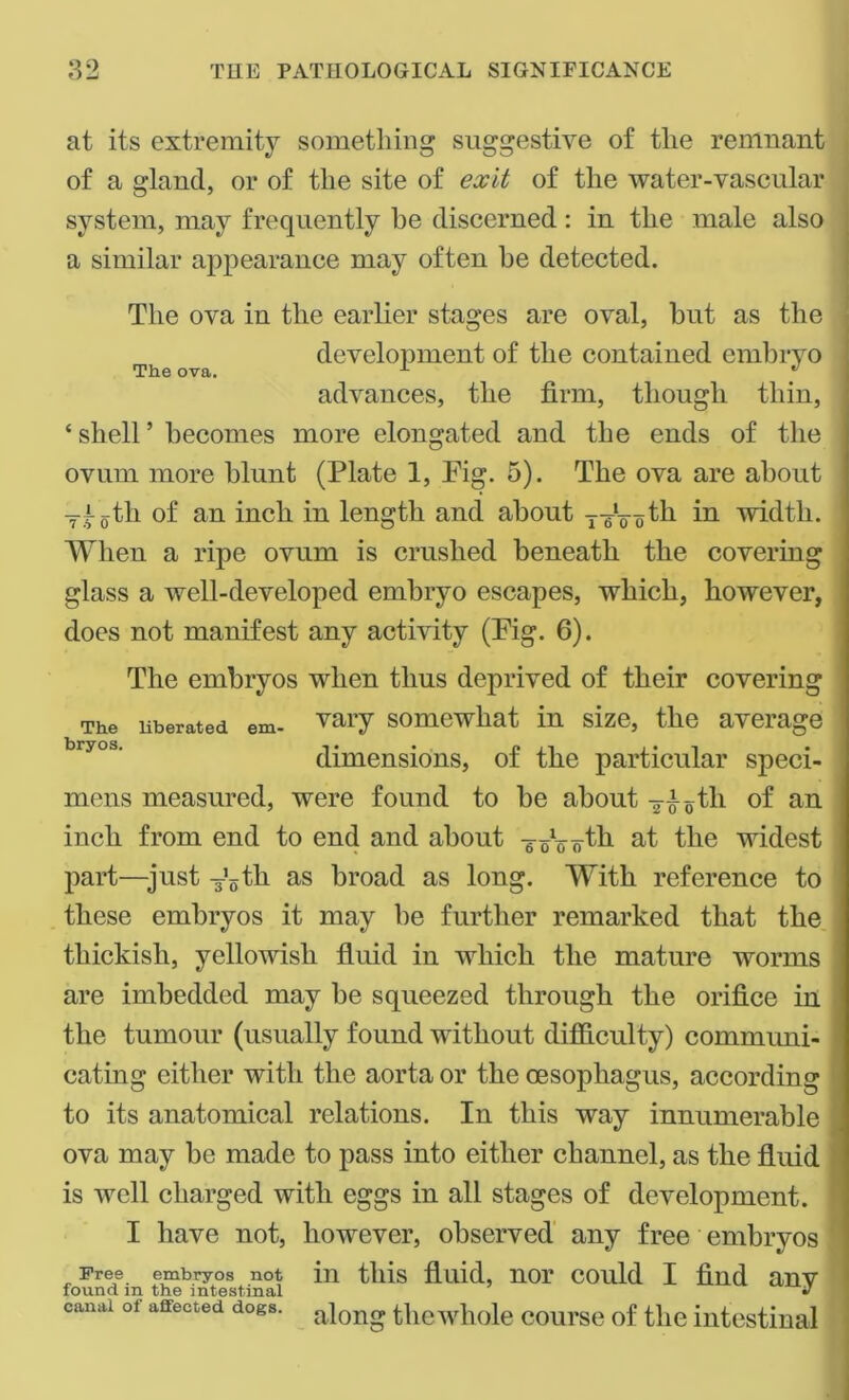 at its extremity something suggestive of the remnant of a gland, or of the site of exit of the water-vascular system, may frequently he discerned: in the male also a similar appearance may often he detected. The ova in the earlier stages are oval, but as the development of the contained embryo The ova. x  advances, the firm, though thin, ‘ shell ’ becomes more elongated and the ends of the ovum more blunt (Plate 1, Fig. 5). The ova are about Tf oth of an inch in length and about y-eVoth in width. When a ripe ovum is crushed beneath the covering glass a well-developed embryo escapes, which, however, does not manifest any activity (Fig. 6). The embryos when thus deprived of their covering The liberated em- vary somewhat in size, the average ' dimensions, of the particular speci- mens measured, were found to be about -avoid1 of an inch from end to end and about TVo yth at the widest part—-just Votli as broad as long. With reference to these embryos it may be further remarked that the thickisli, yellowish fluid in which the mature worms are imbedded may be squeezed through the orifice in the tumour (usually found without difficulty) communi- cating either with the aorta or the oesophagus, according to its anatomical relations. In this way innumerable ova may be made to pass into either channel, as the fluid is well charged with eggs in all stages of development. I have not, however, observed any free embryos Free embryos not ill this fluid, nOl* COllld I find anV canal oi affected dogs. a]ong thewliole course of the intestinal