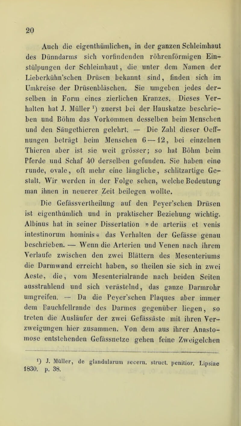 Auch die eigentümlichen, in der ganzen Schleimhaut des Dünndarms sicli vorfindenden röhrenförmigen Ein- stülpungen der Schleimhaut, die unter dem Namen der Lieberkühn’schen Drüsen bekannt sind, finden sich im Umkreise der Drüsenbläschen. Sie umgeben jedes der- selben in Form eines zierlichen Kranzes. Dieses Ver- halten hat J. Müller ') zuerst bei der Hauskatze beschrie- ben und Böhm das Vorkommen desselben beim Menschen und den Säugetieren gelehrt. — Die Zahl dieser OelT- nungen beträgt beim Menschen 6—12, bei einzelnen Thieren aber ist sie weit grösser; so hat Böhm beim Pferde und Schaf 40 derselben gefunden. Sie haben eine runde, ovale, oft mehr eine längliche, schlitzarlige Ge- stalt. Wir werden in der Folge sehen, welche Bedeutung man ihnen in neuerer Zeit beilegen wollte. Die Gefässvertheilung auf den Peyer’schen Drüsen ist eigentümlich und in praktischer Beziehung wichtig. Albinus hat in seiner Dissertation »de arteriis et venis intestinorum hominis« das Verhalten der Gefässe genau beschrieben. — Wenn die Arterien und Venen nach ihrem Verlaufe zwischen den zwei Blättern des Mesenteriums die Darmwand erreicht haben, so teilen sie sich in zwei Aesle, die, vom Mesenterialrande nach beiden Seiten ausstrahlend und sich verästelnd, das ganze Darmrohr umgreifen. — Da die Peyer’schen Plaques aber immer dem Bauchfellrande des Darmes gegenüber liegen, so treten die Ausläufer der zwei Gefässäste mit ihren Ver- zweigungen hier zusammen. Von dem aus ihrer Anasto- inose entstehenden Gefässnetze gehen feine Zweigelchen 0 •h Müller, de glandularum secern. struct. penitior. Lipsiae 1830. p. 38.