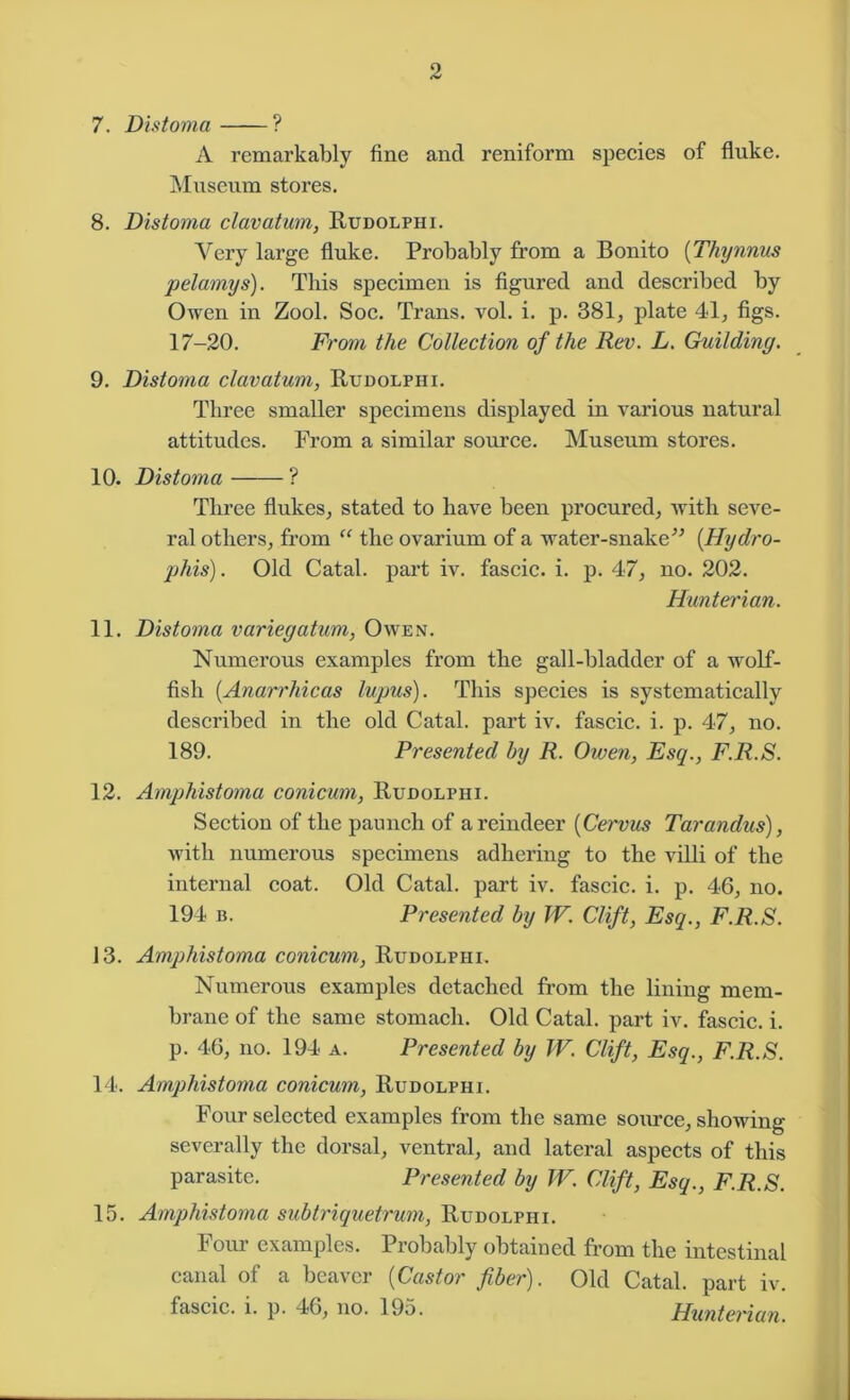 7. Distoma ? A remarkably fine and reniform species of fluke. Museum stores. 8. Distoma clavatum, Rudolphi. Very large fluke. Probably from a Bonito (Thynnus pelamys). This specimen is figured and described by Owen in Zool. Soc. Trans, vol. i. p. 381, plate 41, figs. 17-20. From the Collection of the Rev. L. Guilding. 9. Distoma clavatum, Rudolphi. Three smaller specimens displayed in various natural attitudes. From a similar source. Museum stores. 10. Distoma ? Three flukes, stated to have been procured, with seve- ral others, from “ the ovarium of a water-snake” (Hydro- phis). Old Catal. part iv. fascic. i. p. 47, no. 202. Hunterian. 11. Distoma variegatum, Owen. Numerous examples from the gall-bladder of a wolf- fish (Anarrhicas lupus). This species is systematically described in the old Catal. part iv. fascic. i. p. 47, no. 189. Presented by R. Owen, Esq., F.R.S. 12. Amphistoma conicum, Rudolphi. Section of the paunch of a reindeer (Cervus Tarandus), with numerous specimens adhering to the villi of the internal coat. Old Catal. part iv. fascic. i. p. 46, no. 194 b. Presented by W. Clift, Esq., F.R.S. 13. Amphistoma conicum, Rudolphi. Numerous examples detached from the lining mem- brane of the same stomach. Old Catal. part iv. fascic. i. p. 46, no. 194 a. Presented by TV. Clift, Esq., F.R.S. 14. Amphistoma conicum, Rudolphi. Four selected examples from the same source, showing severally the dorsal, ventral, and lateral aspects of this parasite. Presented by TV. Clift, Esq., F.R.S. 15. Amphistoma sub triquetrum, Rudolphi. Four examples. Probably obtained from the intestinal canal of a beaver (Castor fiber). Old Catal. part iv. fascic. i. p. 46, no. 195. Hunterian.