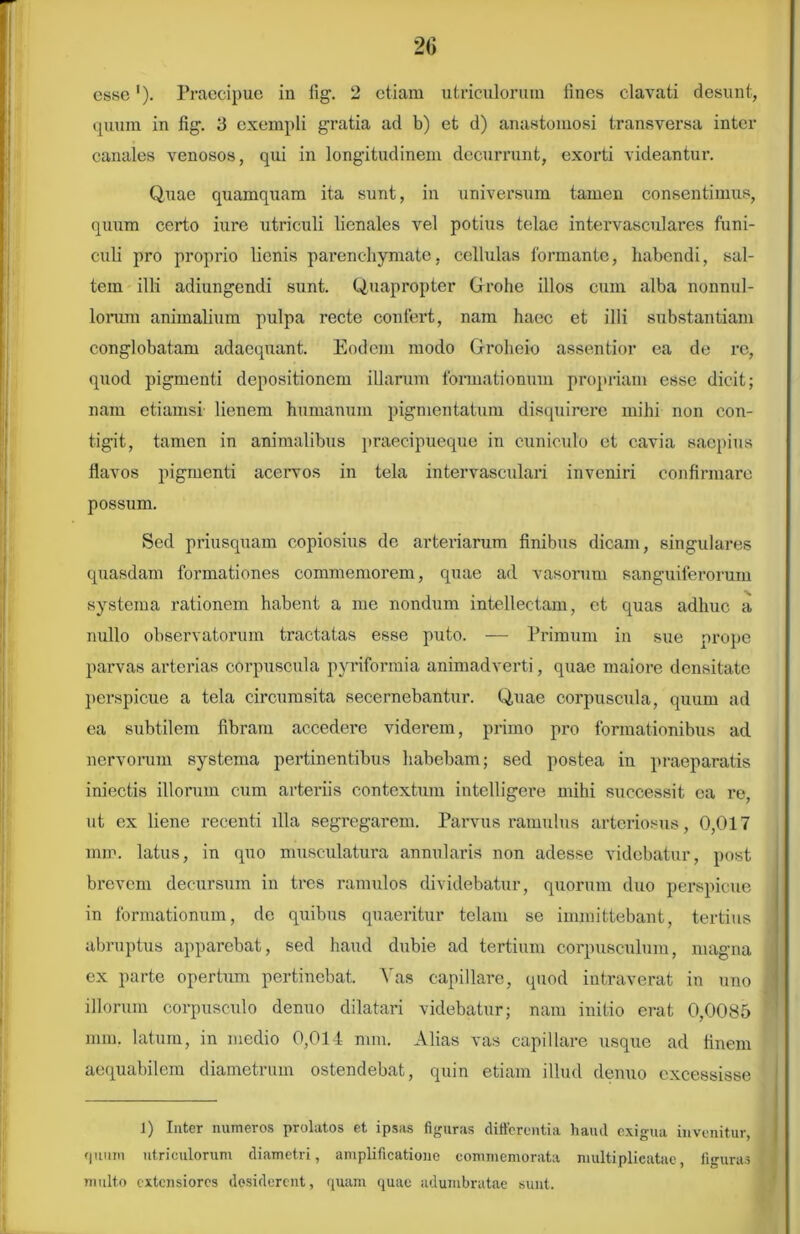 esse1). Praecipue in iig. 2 etiam utriculorum fines clavati desunt, quum in fig. 3 exempli gratia ad b) et d) anastomosi transversa inter canales venosos, qui in longitudinem decurrunt, exorti videantur. Quae quamquam ita sunt, in universum tamen consentimus, qtram certo iure utriculi lienales vel potius telae intervasculares funi- culi pro proprio lienis parenchymate, cellulas formante, habendi, sal- tem illi adiungendi sunt. Quapropter Grrohe illos cum alba nonnul- lorum animalium pulpa recte confert, nam haec et illi substantiam conglobatam adaequant. Eodem modo Groheio assentior ea de re, quod pigmenti depositionem illarum formationum propriam esse dicit; nam etiamsi lienem humanum pigmentatum disquirere mihi non con- tigit, tamen in animalibus praecipueque in cuniculo et cavia saepius flavos pigmenti acervos in tela intervasculari inveniri confirmare possum. Sed priusquam copiosius de arteriarum finibus dicam, singulares quasdam formationes commemorem, quae ad vasorum sanguiferorum systema rationem habent a me nondum intellectam, et quas adhuc a nullo observatorum tractatas esse puto. — Primum in sue prope parvas arterias corpuscula pyriformia animadverti, quae maiore densitate perspicue a tela circumsita secernebantur. Quae corpuscula, quum ad ea subtilem fibram accedere viderem, primo pro formationibus ad nervorum systema pertinentibus habebam; sed postea in praeparatis iniectis illorum cum arteriis contextum intclligere mihi successit ea re, ut ex liene recenti illa segregarem. Parvus ramulus arteriosus, 0,017 mm. latus, in quo musculatura annularis non adesse videbatur, post brevem decursum in tres ramulos dividebatur, quorum duo perspicue in formationum, de quibus quaeritur telam se immittebant, tertius abruptus apparebat, sed haud dubie ad tertium corpusculum, magna ex parte opertum pertinebat. Yas capillare, quod intraverat in uno 1 illorum corpusculo denuo dilatari videbatur; nam initio erat 0,0085 mm. latum, in medio 0,014 mm. Alias vas capillare usque ad finem aequabilem diametrum ostendebat, quin etiam illud denuo excessisse 1) Inter numeros prolatos et ipsas figuras differentia haud exigua invenitur, quum utriculorum diametri, amplificatione commemorata multiplicatae, figuras multo extensiores desiderent, quam quae adumbratae sunt.