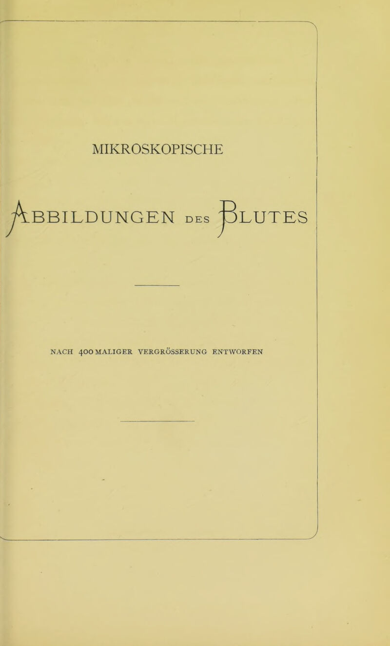 MIKROSKOPISCHE BBILDUNGEN des LUTES NACH 4OO MALIGER VERGRÖSSERUNG ENTWORFEN