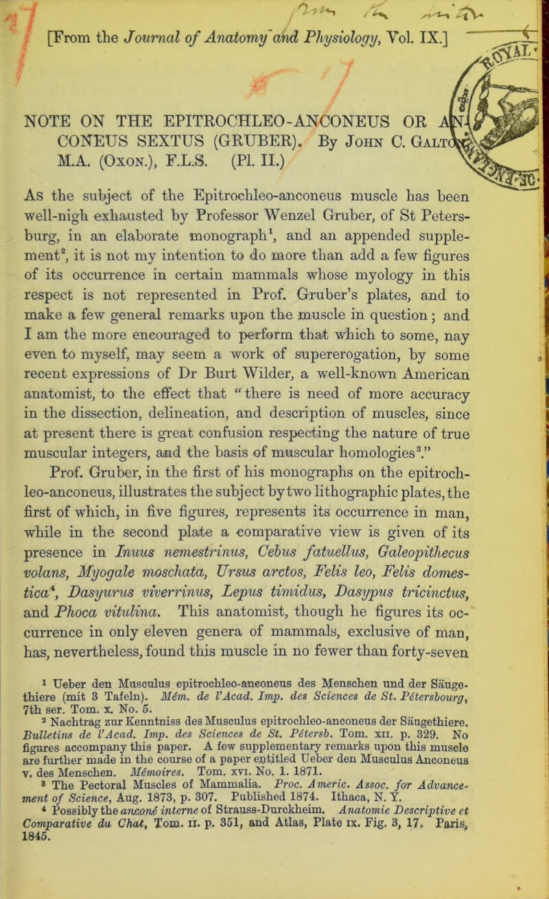 [From the Journal of Anatomy 'and Physiology, Vol. IX.] NOTE ON THE EPITROCHLEO-ANCONEUS OR CONEUS SEXTUS (GRUBER). By John C. Galt M.A. (Oxon.), F.L.S. (PI. II.) As the subject of the Epitrochleo-anconeus muscle has been well-nigh exhausted by Professor Wenzel Gruber, of St Peters- burg, in an elaborate monograph1, and an appended supple- ment2, it is not my intention to do more than add a few figures of its occurrence in certain mammals whose myology in this respect is not represented in Prof. Gruber’s plates, and to make a few general remarks upon the muscle in question; and I am the more encouraged to perform that which to some, nay even to myself, may seem a work of supererogation, by some recent expressions of Dr Burt Wilder, a well-known American anatomist, to the effect that “ there is need of more accuracy in the dissection, delineation, and description of muscles, since at present there is great confusion respecting the nature of true muscular integers, and the basis of muscular homologies3 4.” Prof. Gruber, in the first of his monographs on the epitroch- leo-anconeus, illustrates the subject by two lithographic plates, the first of which, in five figures, represents its occurrence in man, while in the second plate a comparative view is given of its presence in Inuus nemestrinus, Cebus fatuellus, Galeopithecus volans, Myogale moschata, Ursus arctos, Felis leo, Felis domes- tica*, Dasyurus viverrinus, Lepus timidus, Dasypus tricinctus, and Phoca vitulina. This anatomist, though he figures its oc- currence in only eleven genera of mammals, exclusive of man, has, nevertheless, found this muscle in no fewer than forty-seven 1 XJeber den Musculus epitrochleo-anconeus des Menschen und der Sauge- thiere (mit 3 Tafeln). Mem. de VAcad. Imp. des Sciences de St. Petersbourg, 7th ser. Tom. x. No. 5. 2 Nachtrag zur Kenntniss des Musculus epitrochleo-anconeus der Saugethiere. Bulletins de VAcad. Imp. des Sciences de St. P&tersb. Tom. xii. p. 329. No figures accompany this paper. A few supplementary remarks upon this muscle are further made in the course of a paper entitled Ueber den Musculus Anconeus v. des Menschen. Memoires. Tom. xvx. No. 1. 1871. 3 The Pectoral Muscles of Mammalia. Proc. A meric. Assoc, for Advance- ment of Science, Aug. 1873, p. 307. Published 1874. Ithaca, N. Y. 4 Possibly the ancone interne of Strauss-Durckheim. Anatomie Descriptive et Comparative du Chat, Tom. ii. p. 351, and Atlas, Plate ix. Fig. 3, 17, Paris,