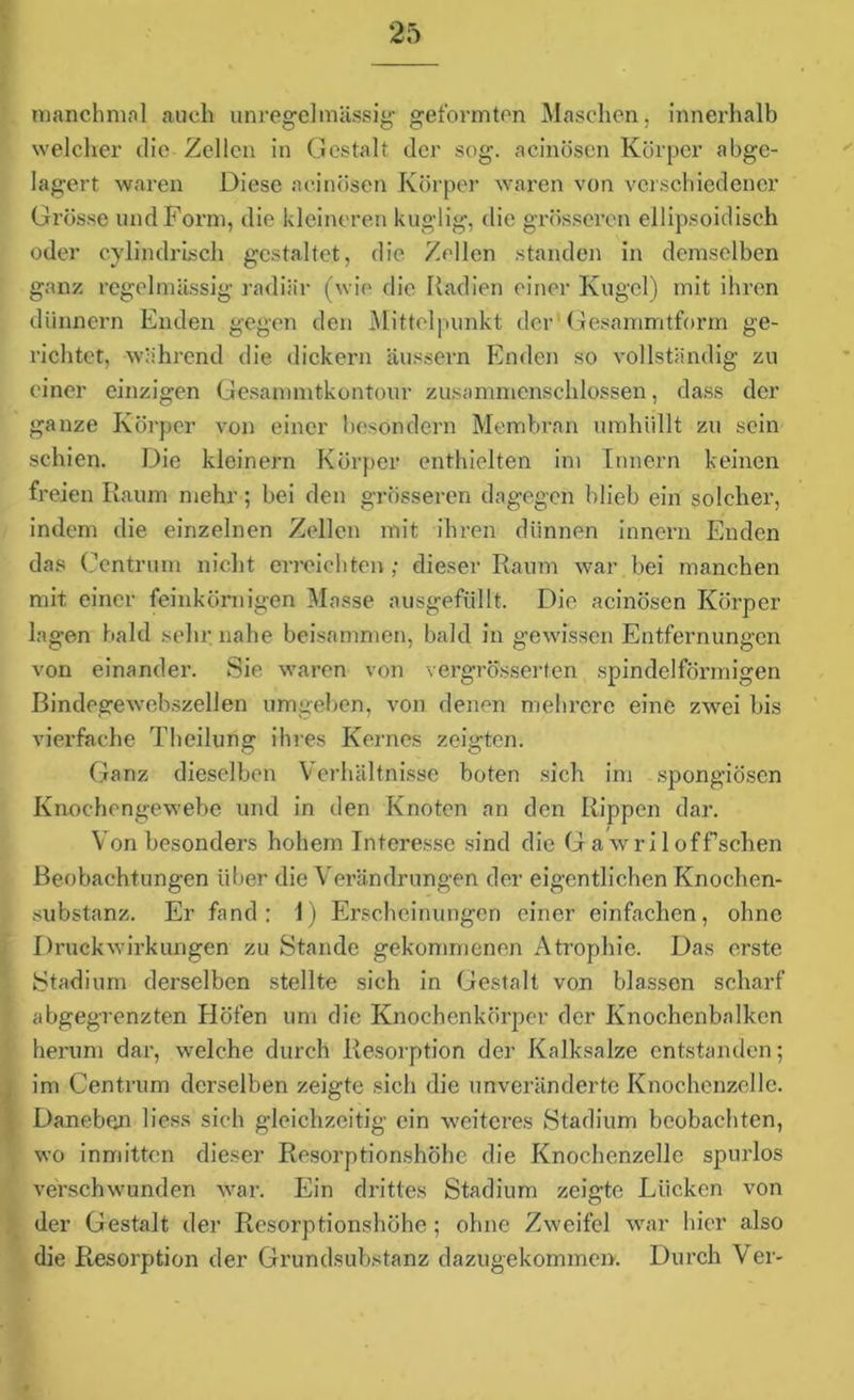 manchmal auch unregelmässig1 geformten Maschen, innerhalb welcher die Zellen in Gestalt der sog. acinösen Körper abge- lagert waren Diese acinösen Körper waren von verschiedener Grösse und Form, die kleineren kuglig, die grösseren ellipsoidisch oder cylindrisch gestaltet, die Zellen standen in demselben ganz regelmässig radiär (wie die Radien einer Kugel) mit ihren dünnem Enden gegen den Mittelpunkt der Gesammtform ge- richtet, während die dickem äussern Enden so vollständig zu einer einzigen Gesammtkontour zusammenschlossen, dass der ganze Körper von einer bosöndern Membran umhüllt zu sein schien. Die kleinern Körper enthielten im Innern keinen freien Raum mehr; bei den grösseren dagegen blieb ein solcher, indem die einzelnen Zellen mit ihren dünnen innern Enden das Centrum nicht erreichten ; dieser Raum war bei manchen mit einer feinkörnigen Masse ausgefüllt. Die acinösen Körper lagen bald sehr, nahe beisammen, bald in gewissen Entfernungen von einander. Sie waren von vergrößerten spindelförmigen Bindegewebszellen umgeben, von denen mehrere eine zwei bis vierfache Theilung ihres Kernes zeigten. Ganz dieselben Verhältnisse boten sich im spongiösen Knochengewebe und in den Knoten an den Rippen dar. Von besonders hohem Interesse sind die GawrHoffschen Beobachtungen über die Verändrungen der eigentlichen Knochen- substanz. Er fand: 1) Erscheinungen einer einfachen, ohne Druckwirkungen zu Stande gekommenen Atrophie. Das erste Stadium derselben stellte sich in Gestalt von blassen scharf abgegrenzten Höfen um die Knochenkörper der Knochenbalken herum dar, welche durch Resorption der Kalksalze entstanden; im Centrum derselben zeigte sich die unveränderte Knochenzelle. Daneben Hess sich gleichzeitig ein weiteres Stadium beobachten, wo inmitten dieser Resorptionshöhe die Knochenzelle spurlos verschwunden war. Ein drittes Stadium zeigte Lücken von der Gestalt der Resorptionshöhe ; ohne Zweifel war hier also die Resorption der Grundsubstanz dazugekommen. Durch Ver-