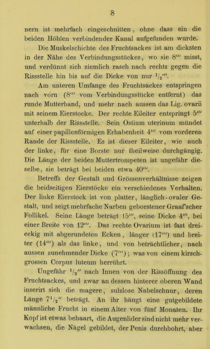 nern ist mehrfach eingeschnitten, ohne dass ein die beiden Höhlen verbindender Kanal aufgefunden wurde. Die Muskelschichte des Fruchtsackes ist am dicksten in der Nähe des Verbindungsstückes, wo sie 8' misst, und verdünnt sich ziemlich rasch nach rechts gegen die Rissstelle hin bis auf die Dicke von nur Am unteren Umfange des Fruchtsackes entspringen nach vorn (8' vom Verbindungsstücke entfernt) das runde Mutterband, und mehr nach aussen das Lig. ovarii mit seinem Eierstocke. Der rechte Eileiter entspringt 5' unterhalb der Rissstelle. Sein Ostium uterinum mündet auf einer papillenförmigen Erhabenheit 4' vom vorderen Rande der Rissstelle. Es ist dieser Eileiter, wie auch der linke, für eine Borste nur theilweise durchgängig. Die Länge der beiden Muttertrompeten ist ungefähr die- selbe, sie beträgt bei beiden etwa 40'. Betreffs der Gestalt und Grössenverhältnisse zeigen die beidseitigen Eierstöcke ein verschiedenes Verhalten. Der linke Eierstock ist von platter, länglich - ovaler Ge- stalt, und zeigt mehrfache Narben geborstener Graaf scher Follikel. Seine Länge beträgt 15', seine Dicke 4', bei einer Breite von 12'. Das rechte Ovarium ist fast drei- eckig mit abgerundeten Ecken, länger (17') und brei- ter (14') als das linke, und von beträchtlicher, nach aussen zunehmender Dicke (7') ; was von einem kirsch- grossen Corpus luteum herrührt. Ungefähr 1/2 nach Innen von der Rissöffnung des Fruchtsackes, und zwar an dessen hinterer oberen Wand inserirt sich die magere, sulzlose Nabelschnur, deren Länge lxl2n beträgt. An ihr hängt eine gutgebildete männliche Frucht in einem Alter von fünf Monaten. Ihr Kopf ist etwas behaart, die Augenlider sind nicht mehr ver- wachsen, die Nägel gebildet, der Penis durchbohrt, aber