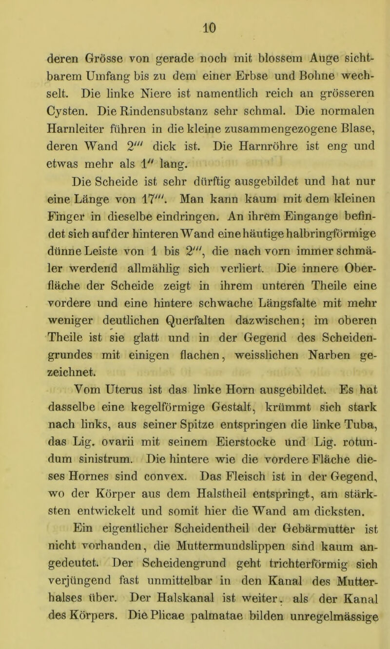 deren Grösse von gerade noch mit blossem Auge sicht- barem Umfang bis zu dem einer Erbse und Bohne wech- selt. Die linke Niere ist namentlich reich au grösseren Cysten. Die Rindensubstanz sehr schmal. Die normalen Harnleiter führen in die kleine zusammengezogene Blase, deren Wand 2' dick ist. Die Harnröhre ist eng und etwas mehr als 1 lang. Die Scheide ist sehr dürftig ausgebildet und hat nur eine Länge von 17//y. Man kann kaum mit dem kleinen Finger in dieselbe eindringen. An ihrem Eingänge befin- det sich auf der hinteren Wand eine häutige halbringförmige dünne Leiste von 1 bis 2', die nach vorn immer schmä- ler werdend allmählig sich verliert. Die innere Ober- fläche der Scheide zeigt in ihrem unteren Theile eine vordere und eine hintere schwache Längsfalte mit mehr weniger deutlichen Querfalten dazwischen; im oberen Theile ist sie glatt und in der Gegend des Scheiden- grundes mit einigen flachen, weisslichen Narben ge- zeichnet. Vom Uterus ist das linke Horn ausgebildet. Es hat dasselbe eine kegelförmige Gestalt, krümmt sich stark nach links, aus seiner Spitze entspringen die linke Tuba, das Lig. ovarii mit seinem Eierstocke und Lig. rotun- dum sinistrum. Die hintere wie die vordere Fläche die- ses Hornes sind convex. Das Fleisch ist in der Gegend, wo der Körper aus dem Halstheil entspringt, am stärk- sten entwickelt und somit hier die Wand am dicksten. Ein eigentlicher Scheidentheil der Gebärmutter ist nicht vorhanden, die Muttermundslippen sind kaum an- gedeutet. Der Scheidengrund geht trichterförmig sich verjüngend fast unmittelbar in den Kanal des Mutter- halses über. Der Halskana.1 ist weiter, als der Kanal des Körpers. Die Plicae palmatae bilden unregelmässige
