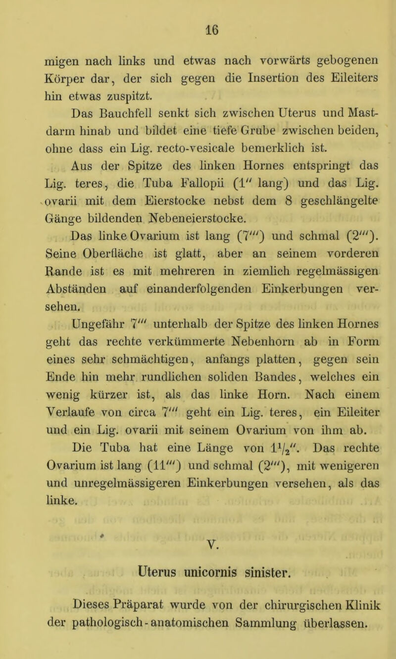 migen nach links und etwas nach vorwärts gebogenen Körper dar, der sich gegen die Insertion des Eileiters hin etwas zuspitzt. Das Bauchfell senkt sich zwischen Uterus und Mast- darm hinab und bildet eine tiefe Grube zwischen beiden, ohne dass ein Lig. recto-vesicale bemerklich ist. Aus der Spitze des linken Ilornes entspringt das Lig. teres, die Tuba Fallopii (1 lang) und das Lig. ovarii mit dem Eierstocke nebst dem 8 geschlängelte Gänge bildenden Nebeneierstocke. Das linke Ovarium ist lang (7') und schmal (2///). Seine Oberfläche ist glatt, aber an seinem vorderen Rande ist es mit mehreren in ziemlich regelmässigen Abständen auf einanderfolgenden Einkerbungen ver- sehen. Ungefähr 7' unterhalb der Spitze des linken Hornes geht das rechte verkümmerte Nebenhorn ab in Form eines sehr schmächtigen, anfangs platten, gegen sein Ende hin mehr rundlichen soliden Bandes, welches ein wenig kürzer ist, als das linke Horn. Nach einem Verlaufe von circa 7' geht ein Lig. teres, ein Eileiter und ein Lig. ovarii mit seinem Ovarium von ihm ab. Die Tuba hat eine Länge von l1/^'. Das rechte Ovarium ist lang (11') und schmal (2'), mit wenigeren und unregelmässigeren Einkerbungen versehen, als das linke. V. Uterus unicornis sinister. Dieses Präparat wurde von der chirurgischen Klinik der pathologisch-anatomischen Sammlung überlassen.
