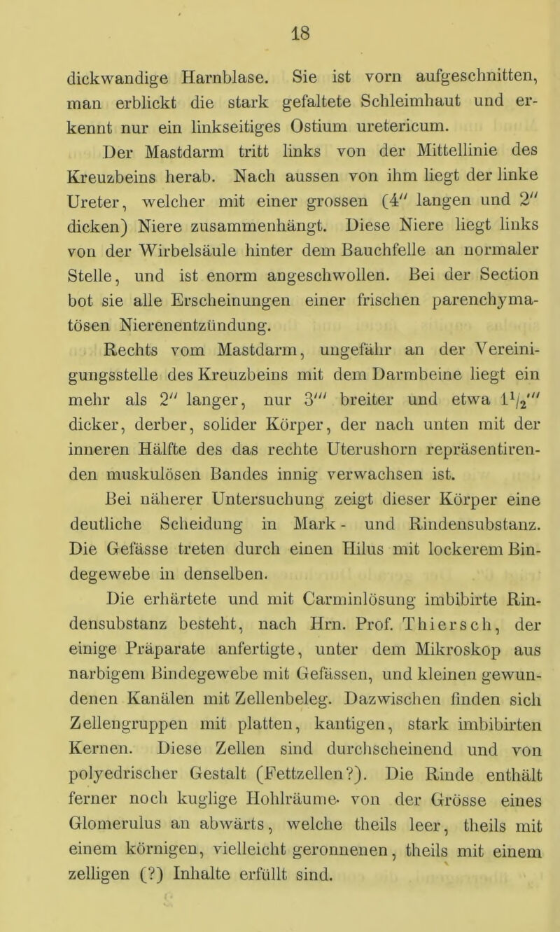 dickwandige Harnblase. Sie ist vorn aufgeschnitten, man erblickt die stark gefaltete Schleimhaut und er- kennt nur ein linkseitiges Ostium uretericum. Der Mastdarm tritt links von der Mittellinie des Kreuzbeins herab. Nach aussen von ihm liegt der linke Ureter, welcher mit einer grossen (4 langen und 2 dicken) Niere zusammenhängt. Diese Niere liegt links von der Wirbelsäule hinter dem Bauchfelle an normaler Stelle, und ist enorm angeschwollen. Bei der Section bot sie alle Erscheinungen einer frischen parenchyma- tösen Nierenentzündung. Rechts vom Mastdarm, ungefähr an der Vereini- gungsstelle des Kreuzbeins mit dem Darmbeine liegt ein mehr als 2 langer, nur 3' breiter und etwa l1/*' dicker, derber, solider Körper, der nach unten mit der inneren Hälfte des das rechte Uterushorn repräsentiren- den muskulösen Bandes innig verwachsen ist. Bei näherer Untersuchung zeigt dieser Körper eine deutliche Scheidung in Mark - und Rindensubstanz. Die Gefässe treten durch einen Hilus mit lockerem Bin- degewebe in denselben. Die erhärtete und mit Carminlösung imbibirte Rin- densubstanz besteht, nach Hrn. Prof. Thiersch, der einige Präparate anfertigte, unter dem Mikroskop aus narbigem Bindegewebe mit Gefässen, und kleinen gewun- denen Kanälen mit Zellenbeleg. Dazwischen finden sich Zellengruppen mit platten, kantigen, stark imbibirten Kernen. Diese Zellen sind durchscheinend und von polyedrischer Gestalt (Fettzellen?). Die Rinde enthält ferner noch kuglige Hohlräume, von der Grösse eines Glomerulus an abwärts, welche theils leer, tlieils mit einem körnigen, vielleicht geronnenen, theils mit einem \ zeitigen (?) Inhalte erfüllt sind.